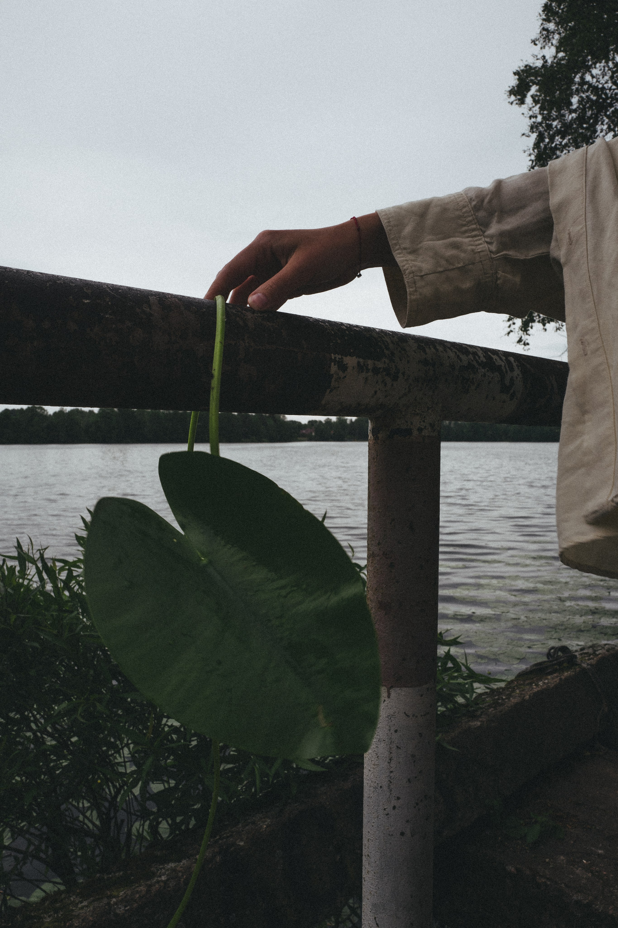 Happy Birthday, Alina ♥️. <3