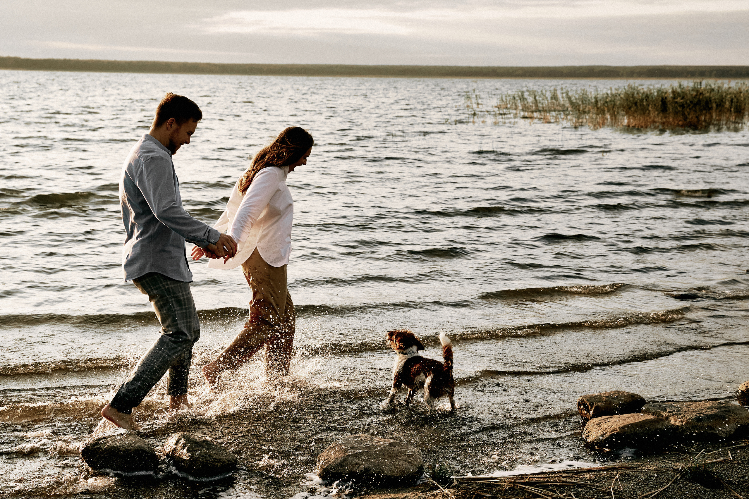 ТЫ Я И ПЁС. Дмитрий Мазуркевич: Профессиональный Репортажный Фотограф
