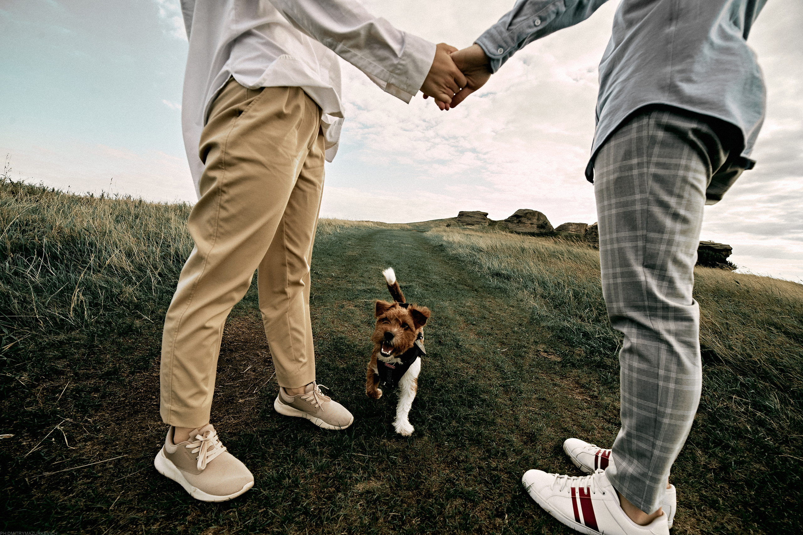 ТЫ Я И ПЁС. Дмитрий Мазуркевич: Профессиональный Репортажный Фотограф