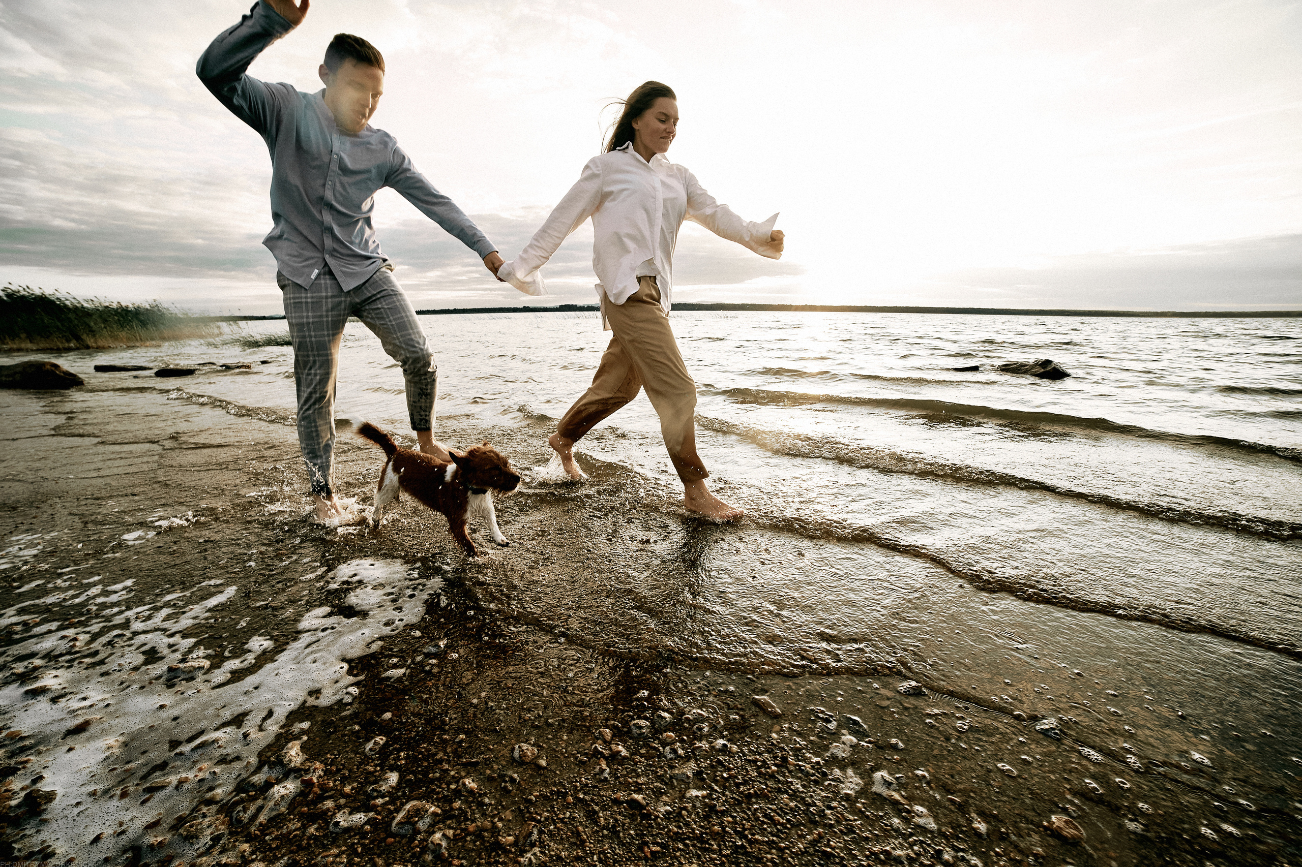 ТЫ Я И ПЁС. Дмитрий Мазуркевич: Профессиональный Репортажный Фотограф