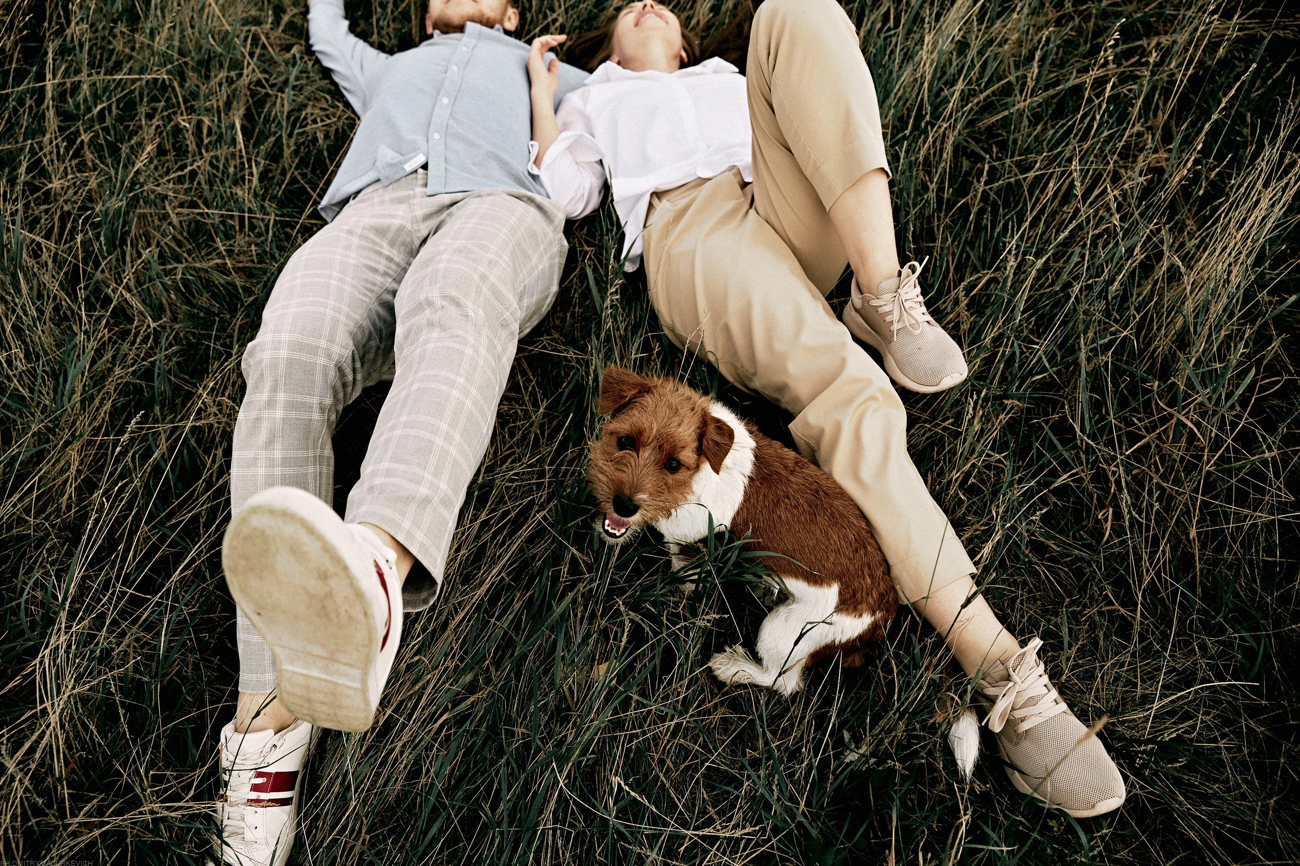 ТЫ Я И ПЁС. Дмитрий Мазуркевич: Профессиональный Репортажный Фотограф