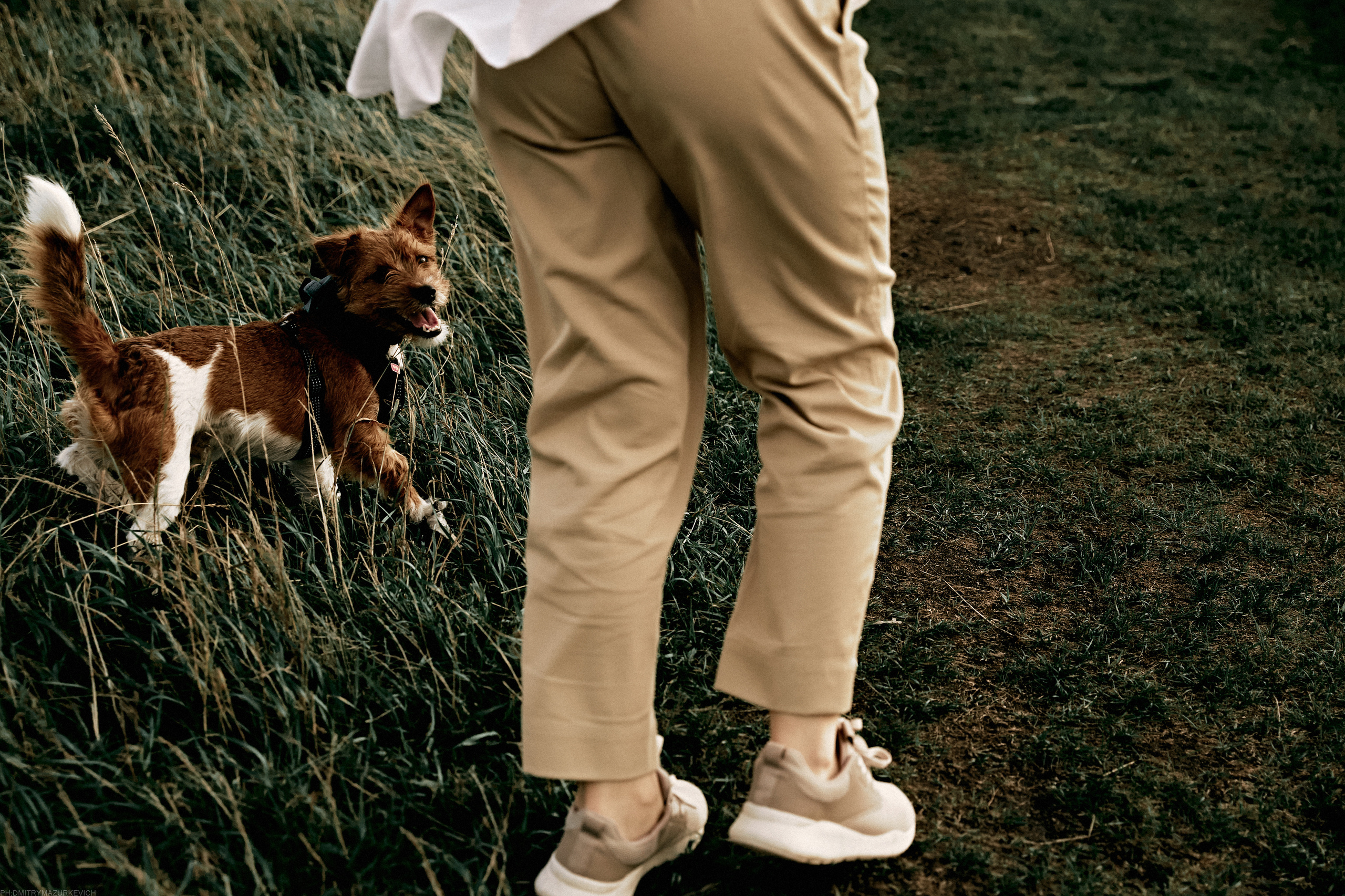 ТЫ Я И ПЁС. Дмитрий Мазуркевич: Профессиональный Репортажный Фотограф