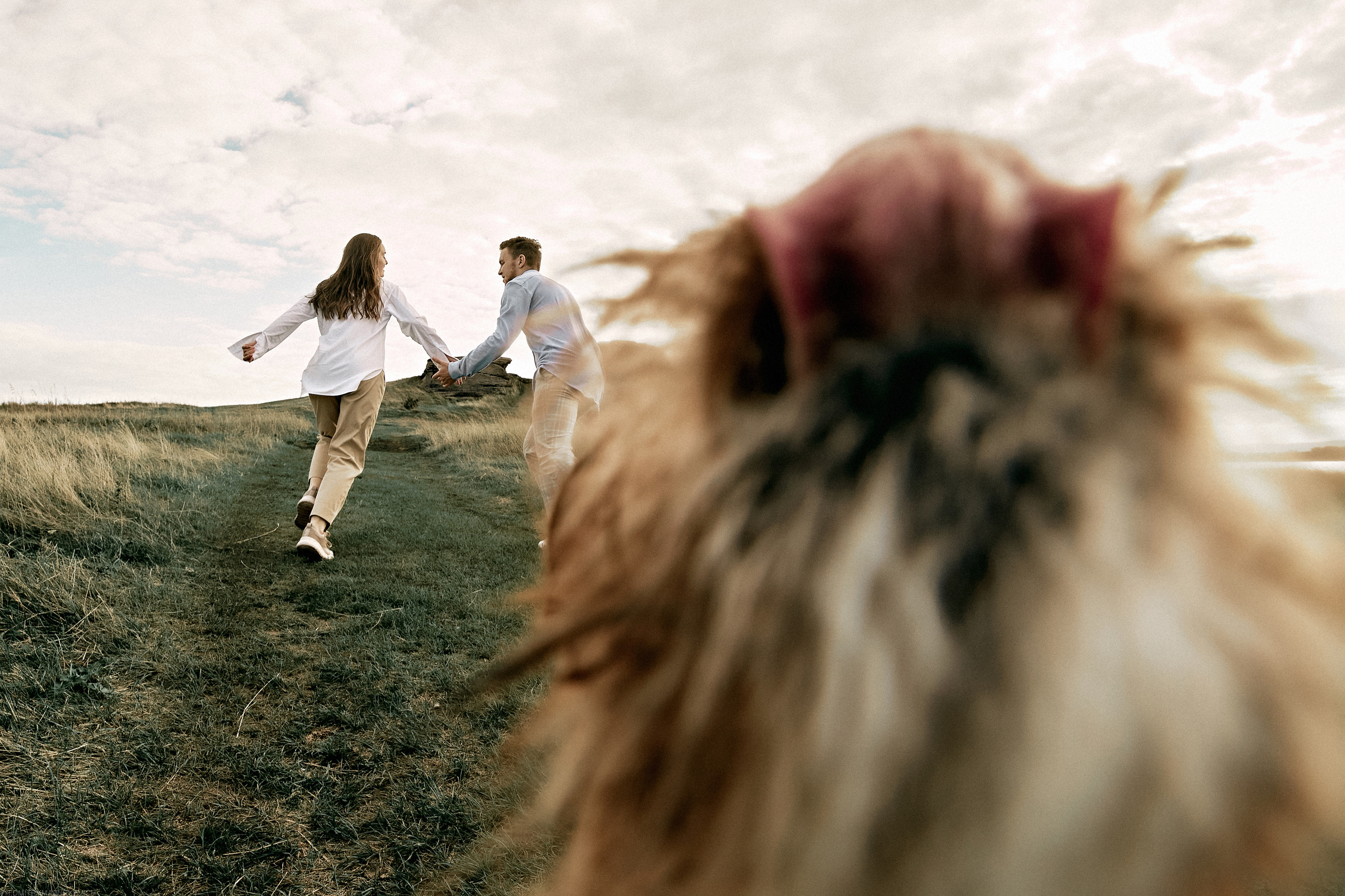 ТЫ Я И ПЁС. Дмитрий Мазуркевич: Профессиональный Репортажный Фотограф