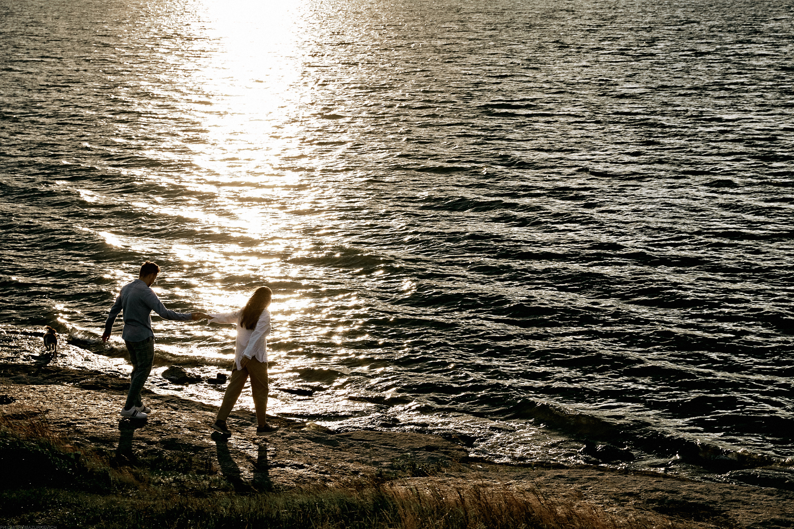 ТЫ Я И ПЁС. Дмитрий Мазуркевич: Профессиональный Репортажный Фотограф