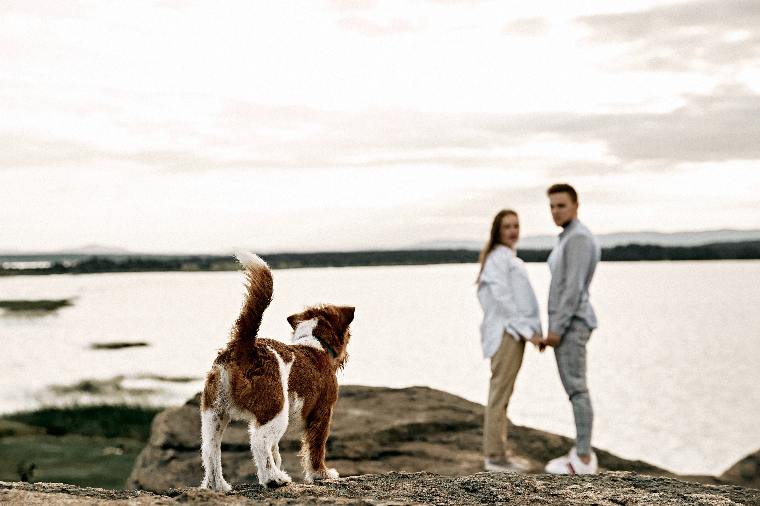 ТЫ Я И ПЁС. Дмитрий Мазуркевич: Профессиональный Репортажный Фотограф