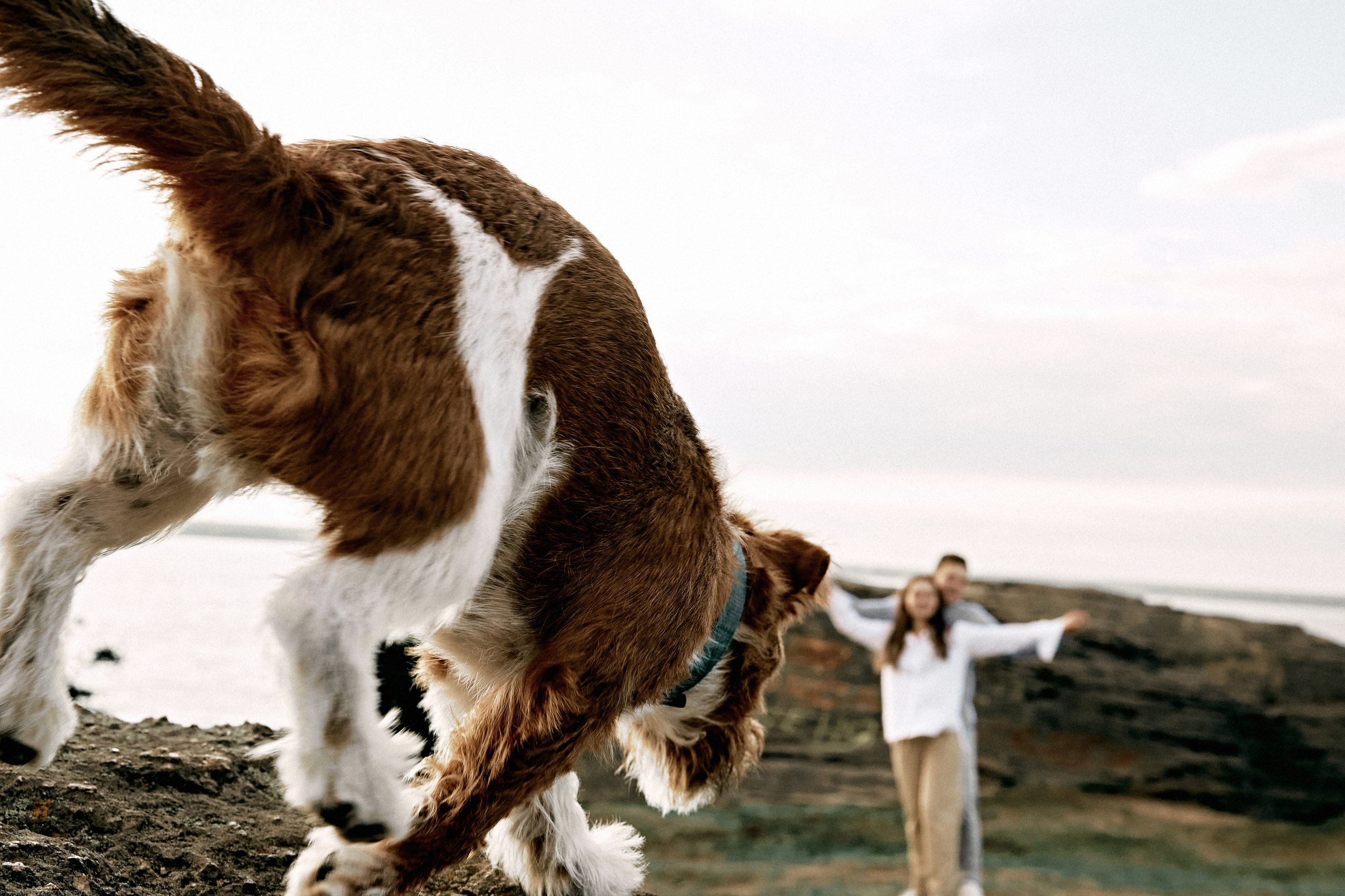 ТЫ Я И ПЁС. Дмитрий Мазуркевич: Профессиональный Репортажный Фотограф