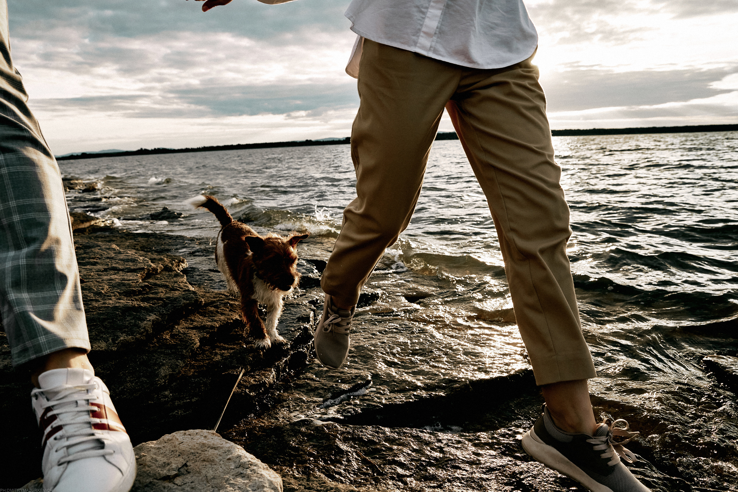 ТЫ Я И ПЁС. Дмитрий Мазуркевич: Профессиональный Репортажный Фотограф