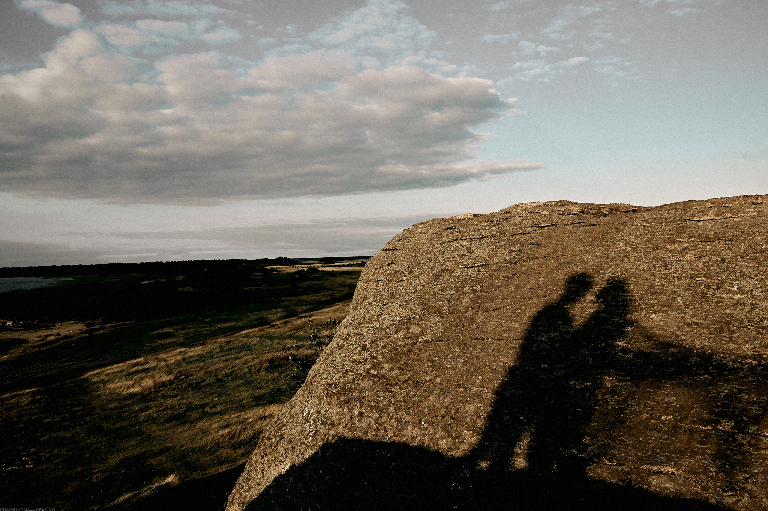 ТЫ Я И ПЁС. Дмитрий Мазуркевич: Профессиональный Репортажный Фотограф