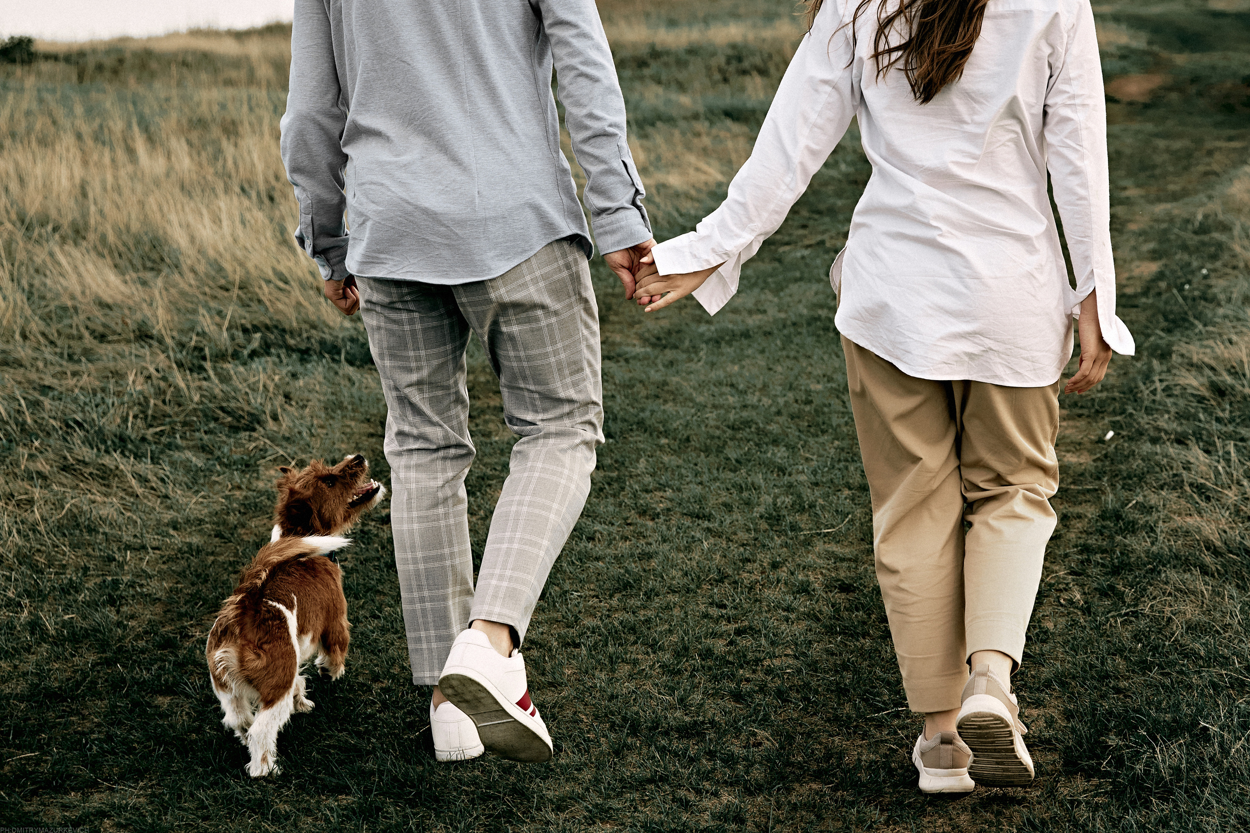 ТЫ Я И ПЁС. Дмитрий Мазуркевич: Профессиональный Репортажный Фотограф