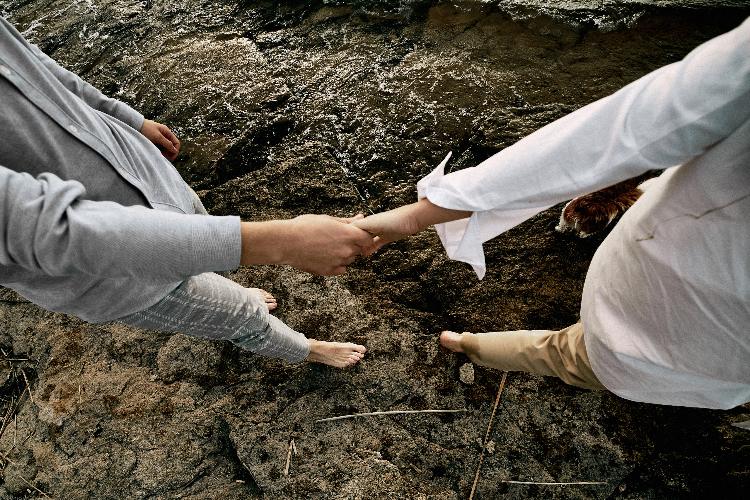 ТЫ Я И ПЁС. Дмитрий Мазуркевич: Профессиональный Репортажный Фотограф