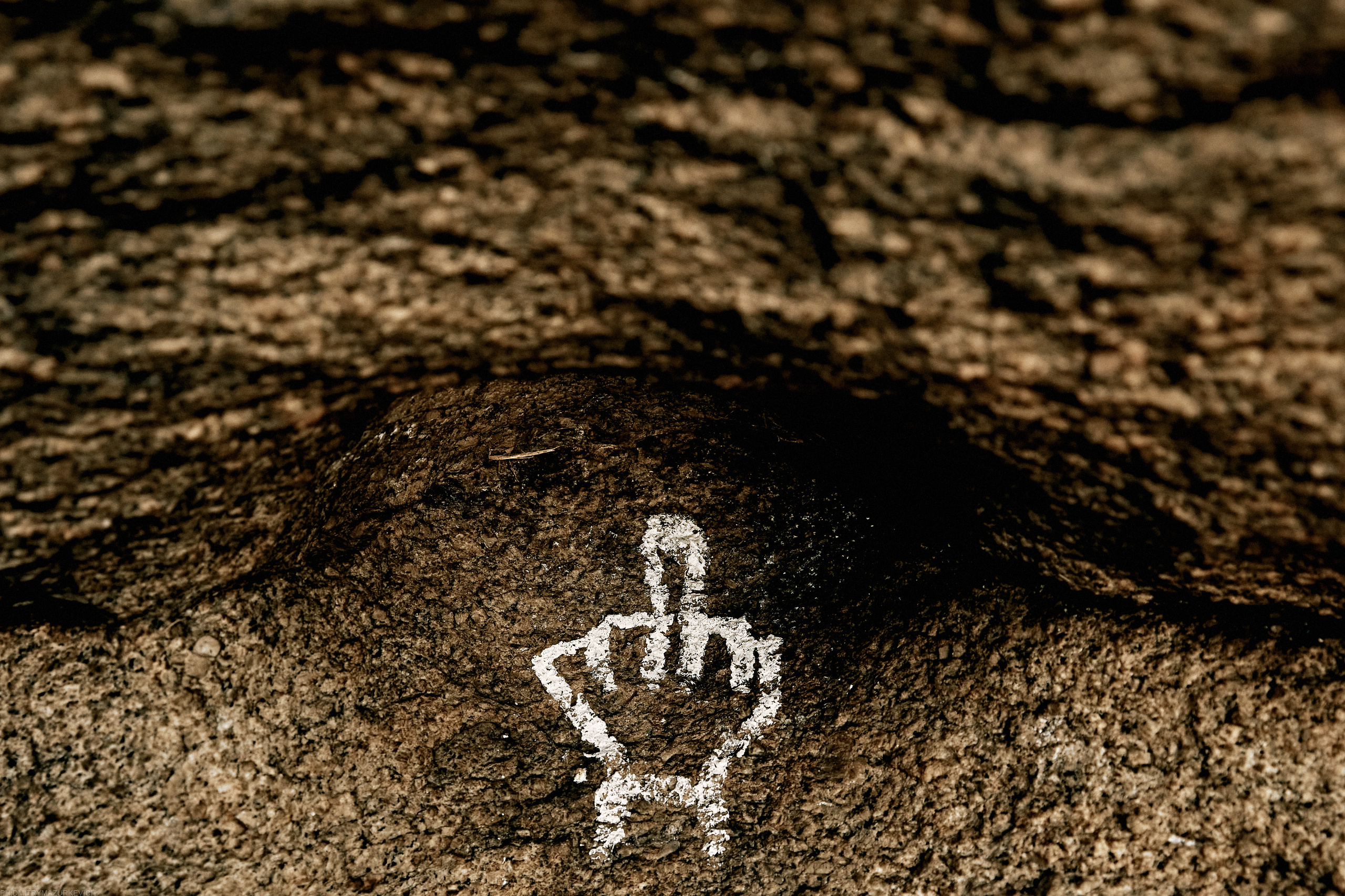 ТЫ Я И ПЁС. Дмитрий Мазуркевич: Профессиональный Репортажный Фотограф