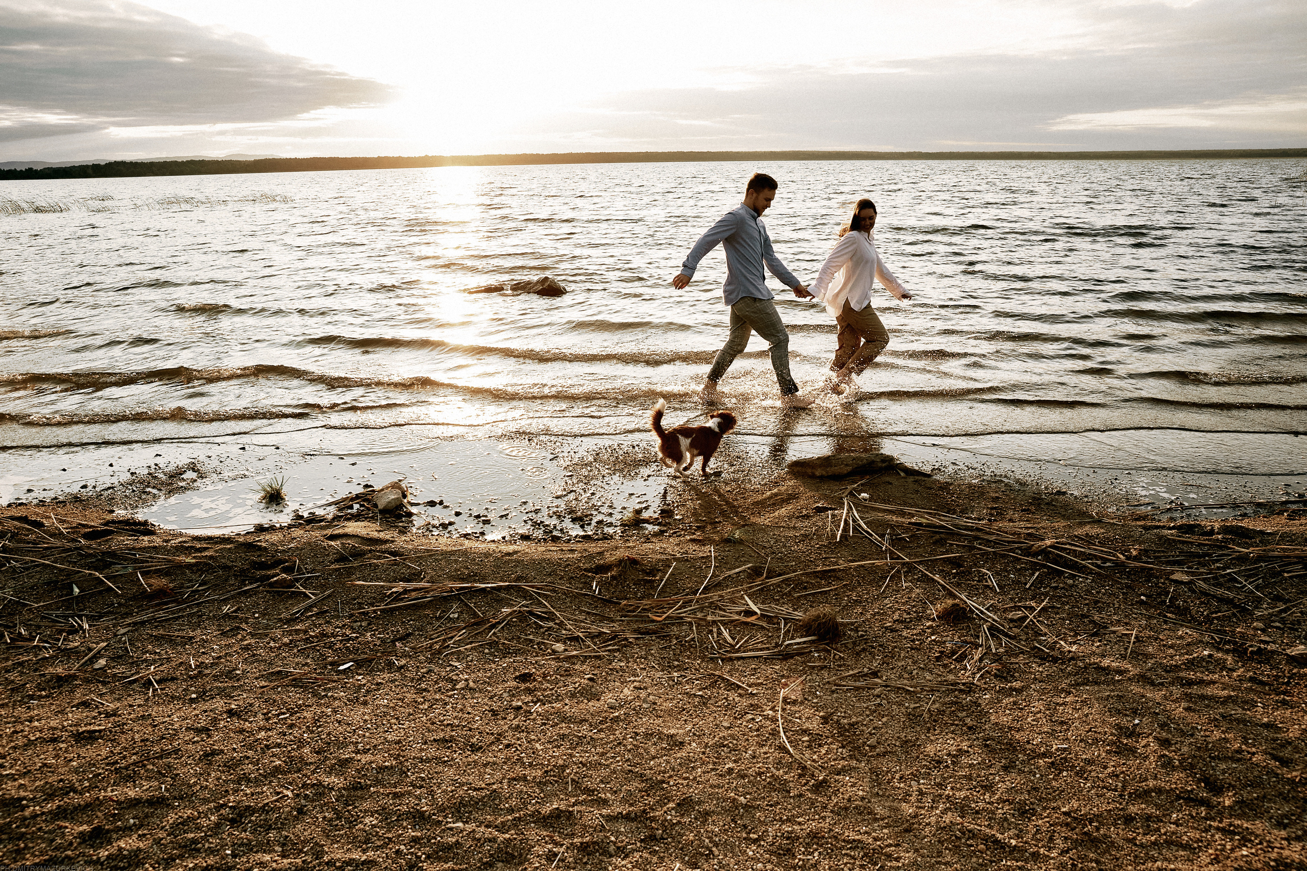 ТЫ Я И ПЁС. Дмитрий Мазуркевич: Профессиональный Репортажный Фотограф