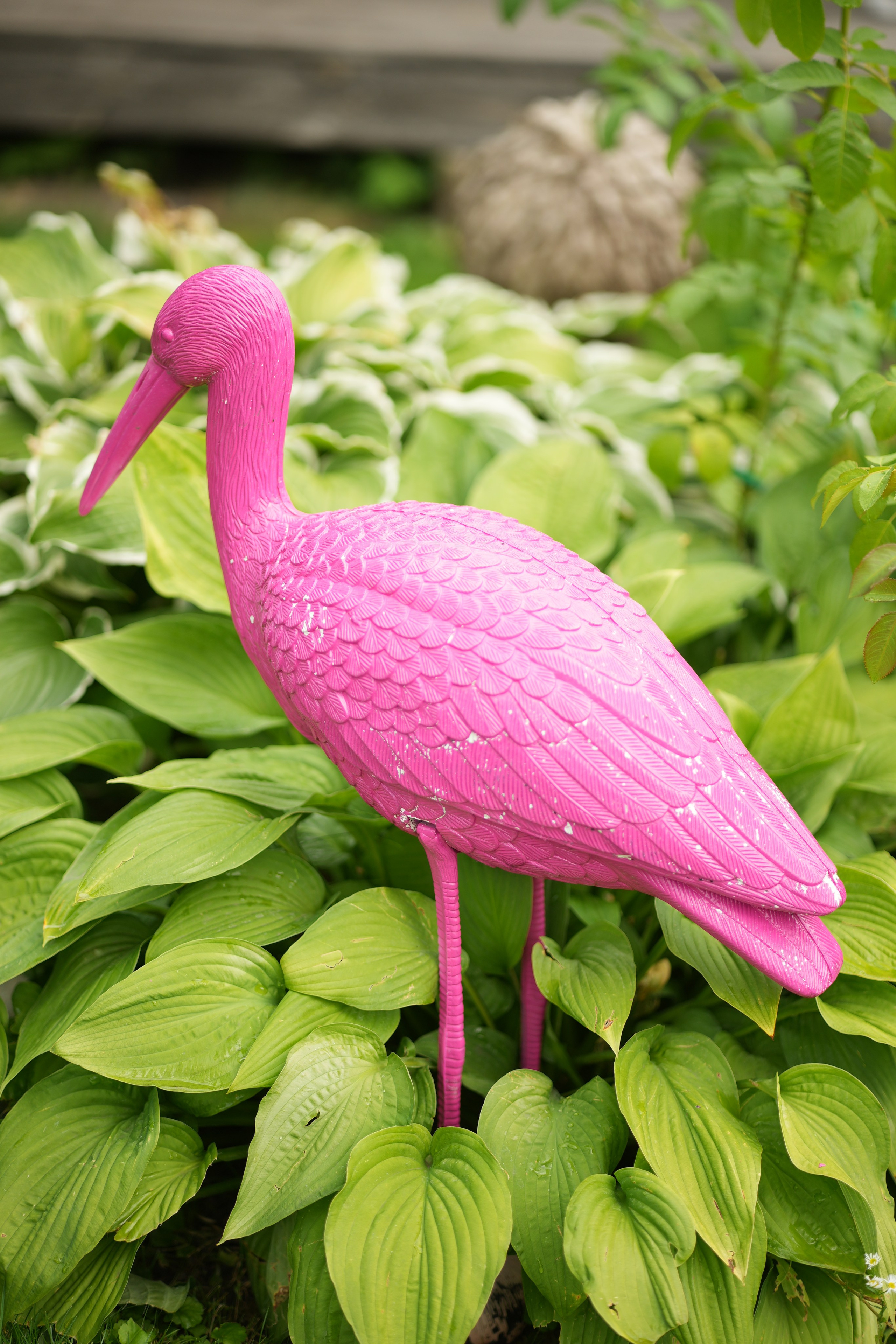 Час 1500 пример фотосессии пакет «ФОТО НА ПАМЯТЬ» (без обработки). Фотограф Нижний Новгород Татьяна Кэйод