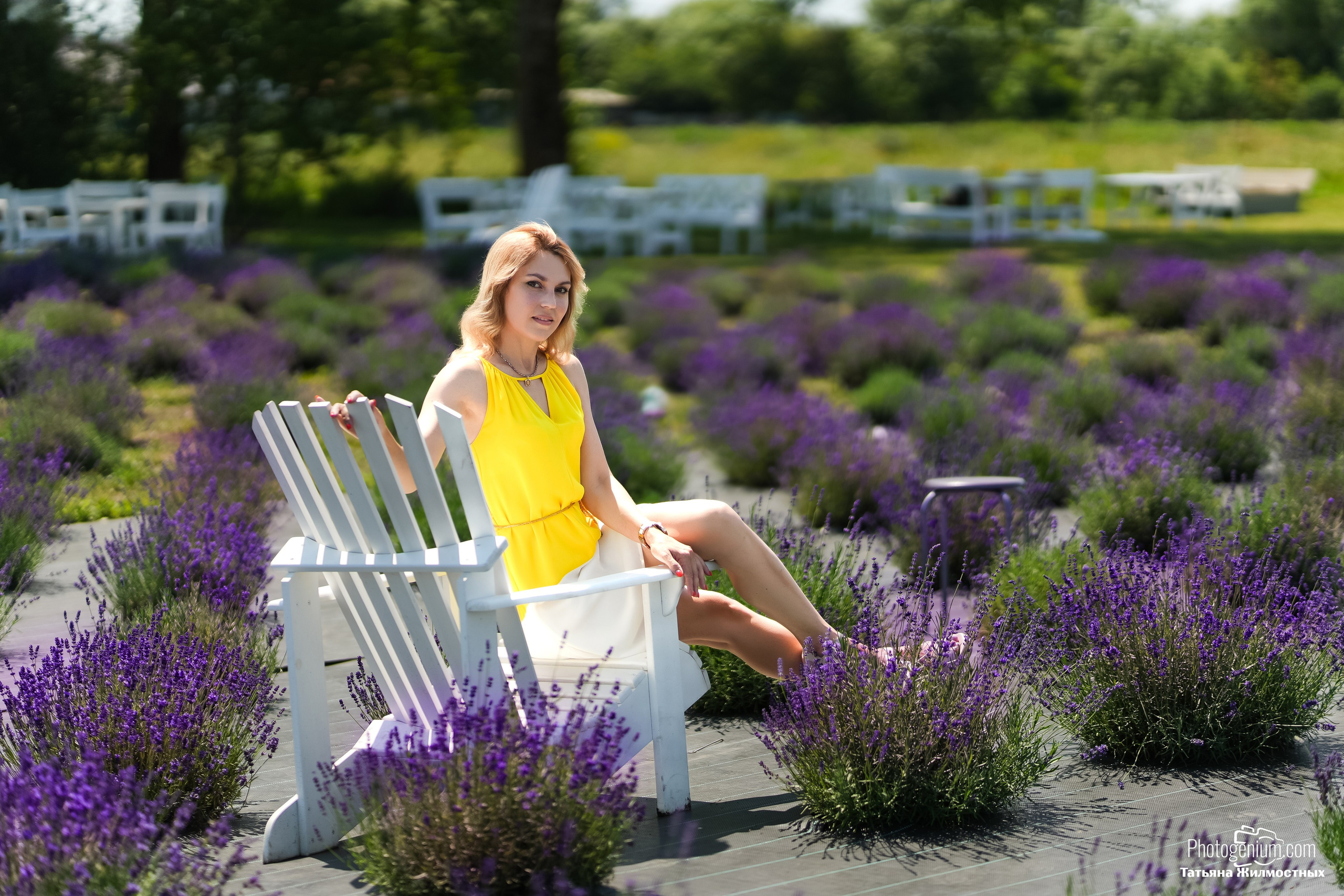 Лавандовое поле. Фотограф Нижний Новгород Татьяна Кейод