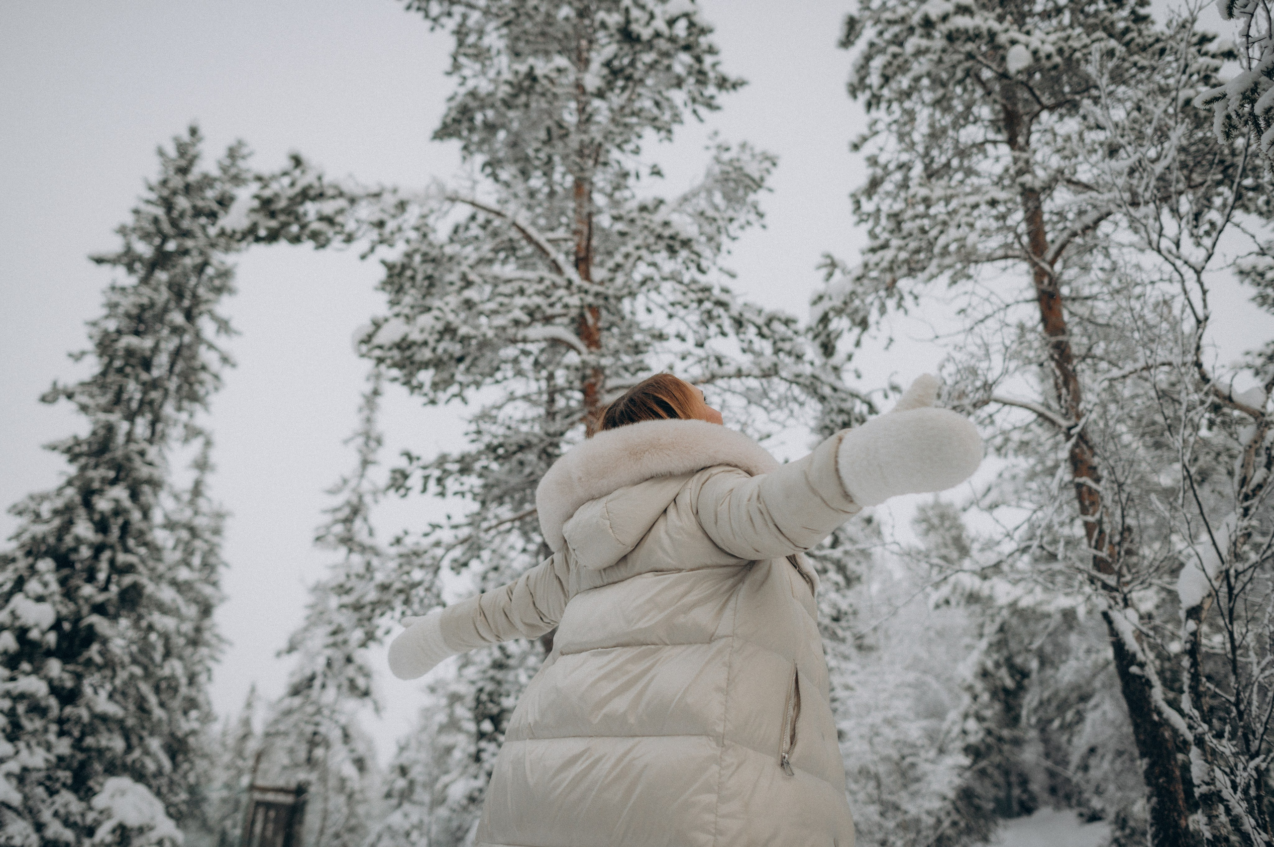 Хаски Терапия. Фотограф Наталья Могилевская Мурманск Териберка Сейдозеро Рыбачий