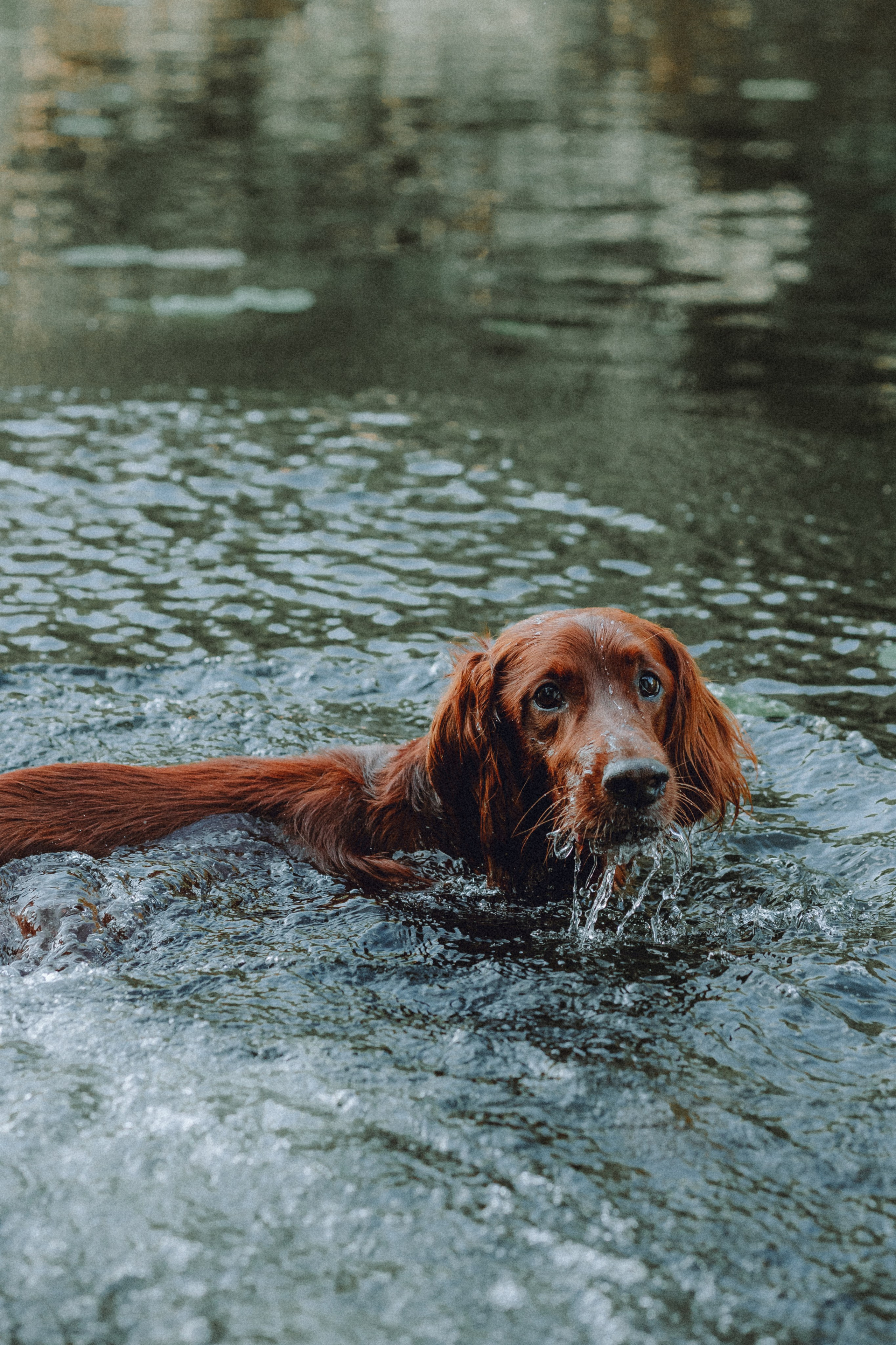 Маша и Джерри