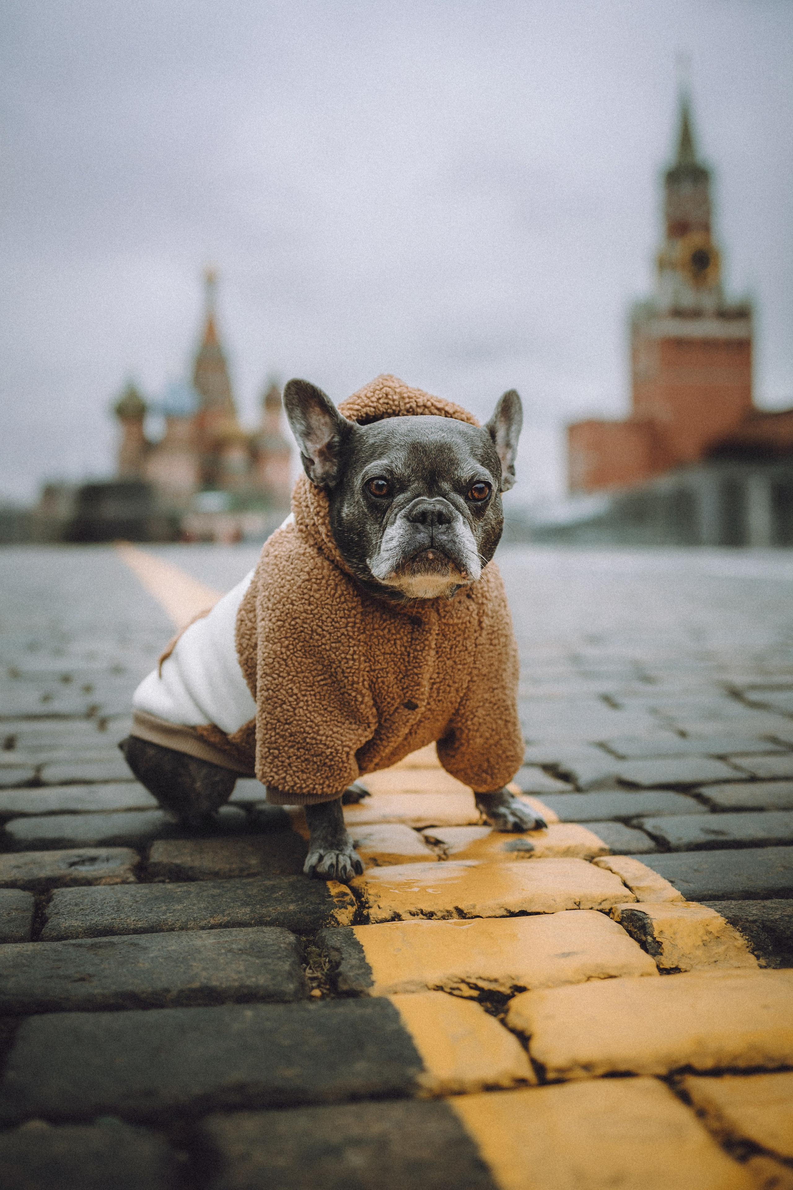 Юля, Вова и Моня