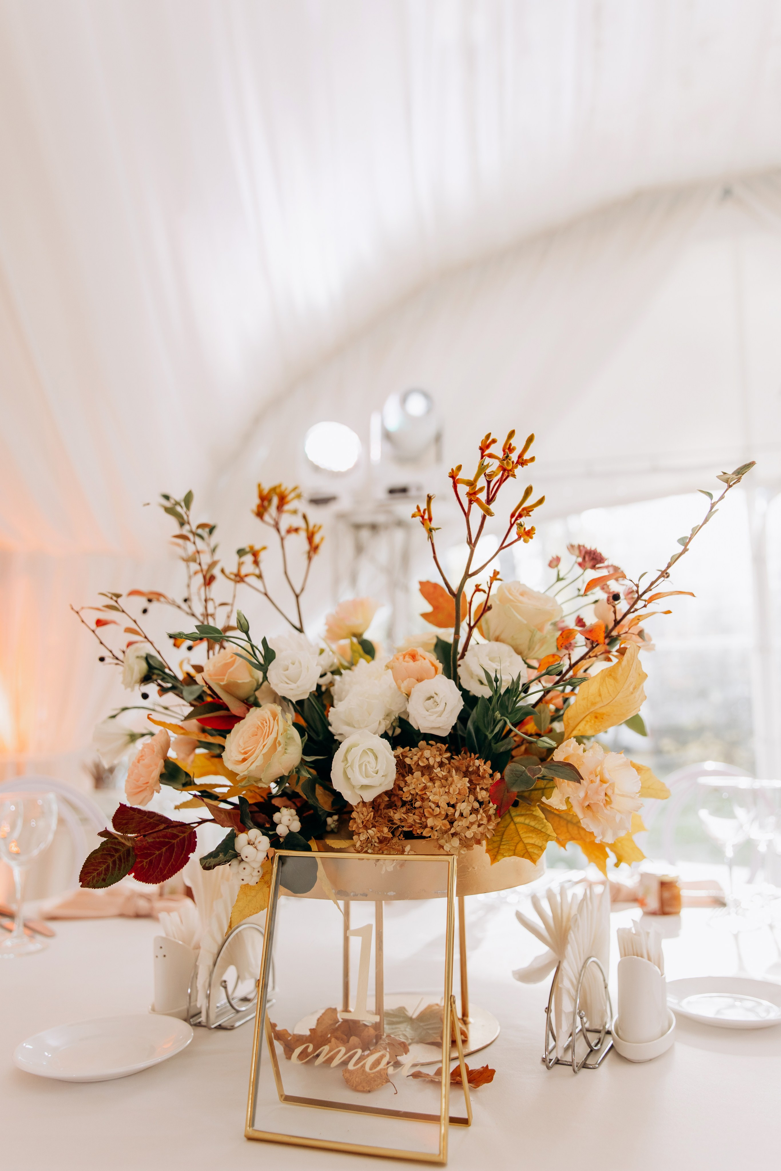 Даниил и Алёна. Фотограф — Погодина Екатерина