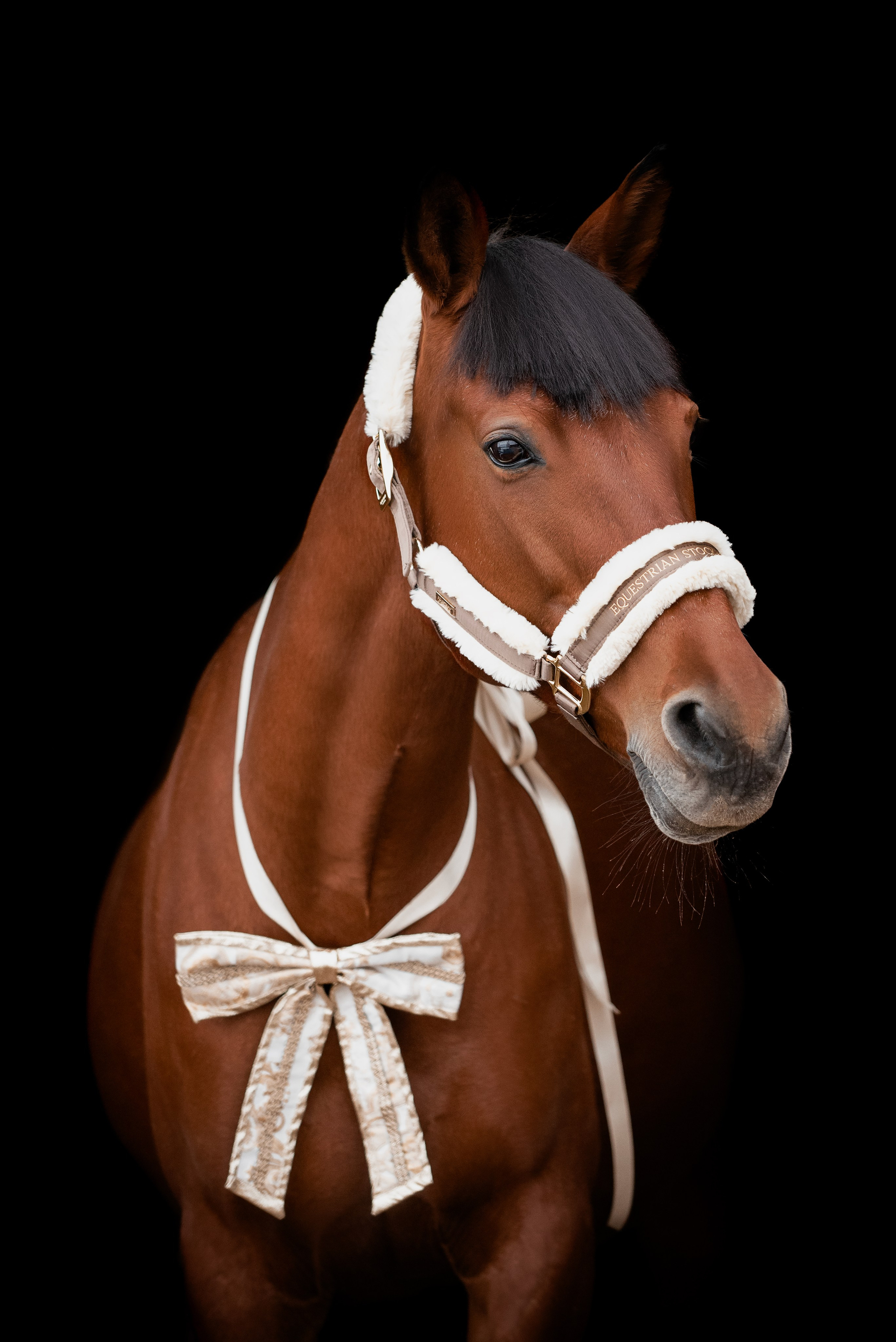 Зимний Настасьин табун. Куракина Дарья • Конный фотограф