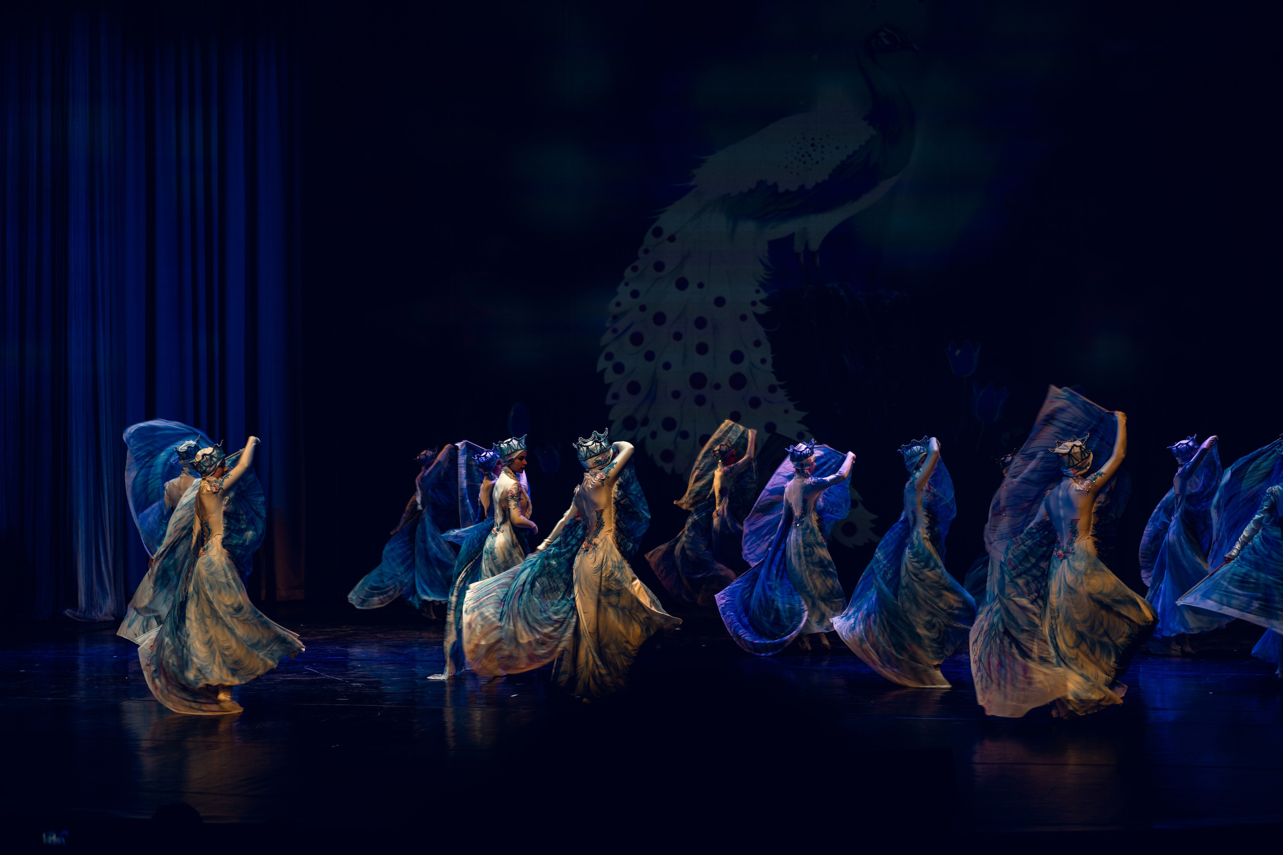 Гала-концерт «Путь к мечте». Tatyana Dubova. Portrait and Family Photographer, Saint Petersburg