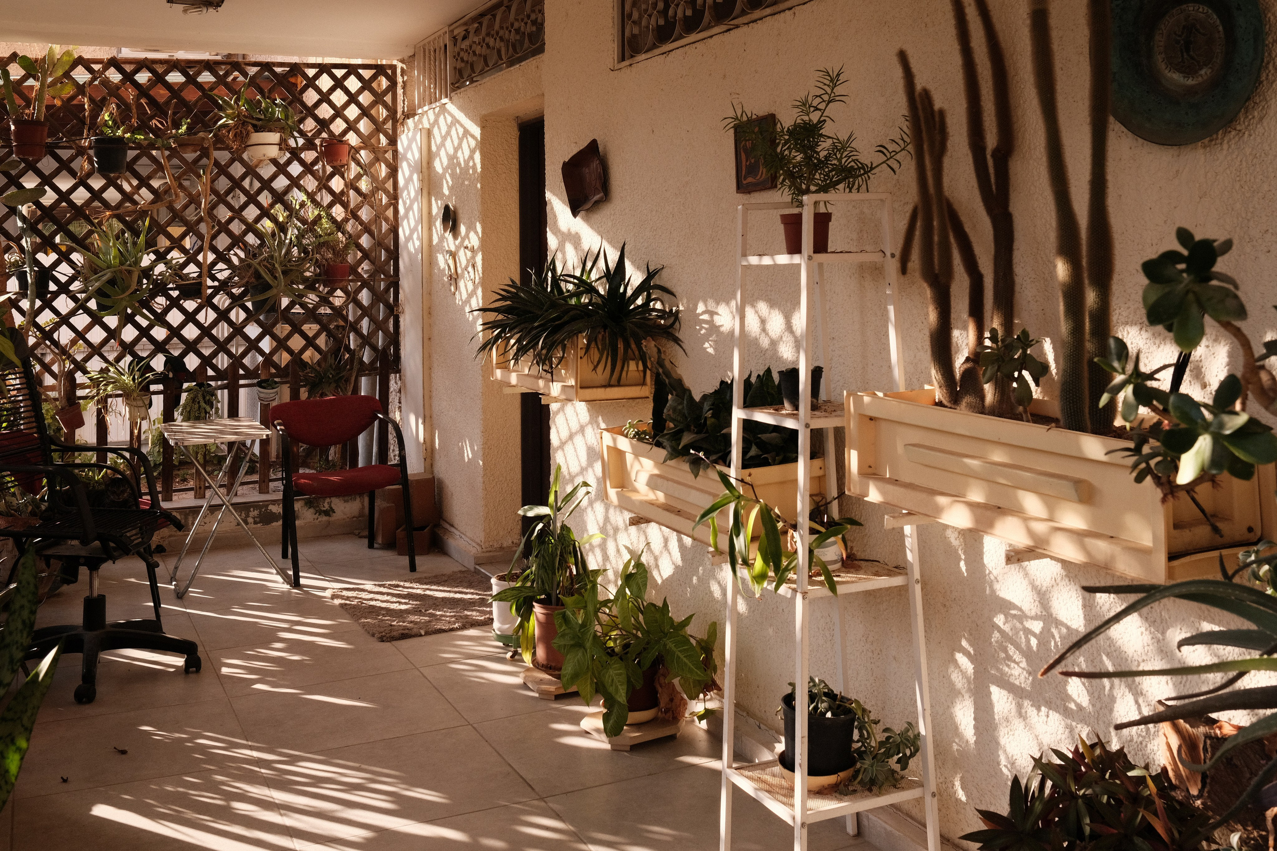 Фотографии Беер-Шевы | Филипп Линзин. Репортажный и портретный фотограф в Санкт-Петербурге Филипп Линзин