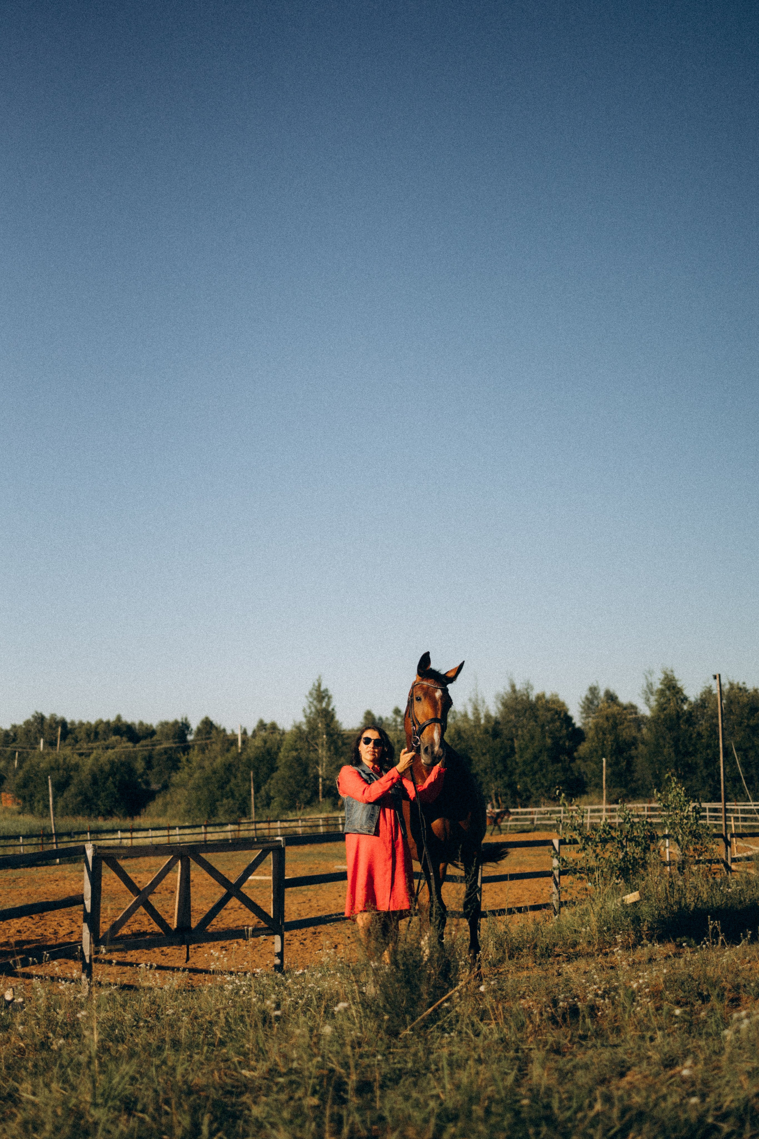 А в деревни лошади. Фотограф Москва Светлана Кирюшина