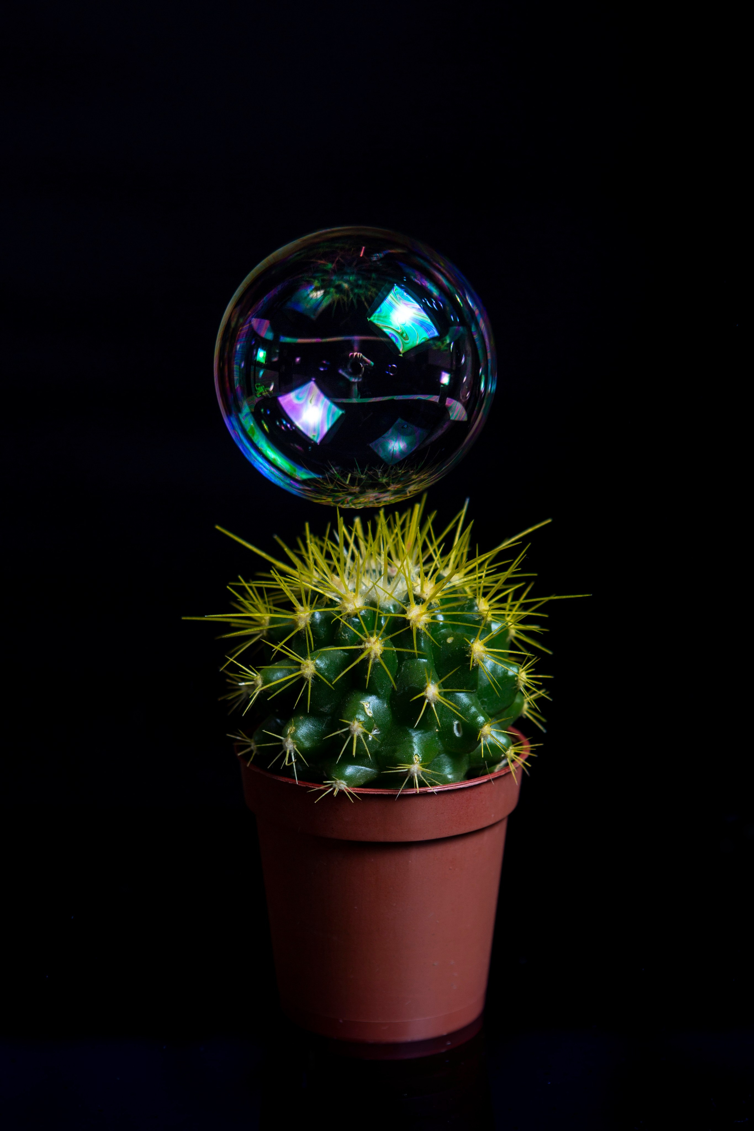 Творчество. Фотограф. Love story, портрет, индивидуальные съемки. Фудфотограф