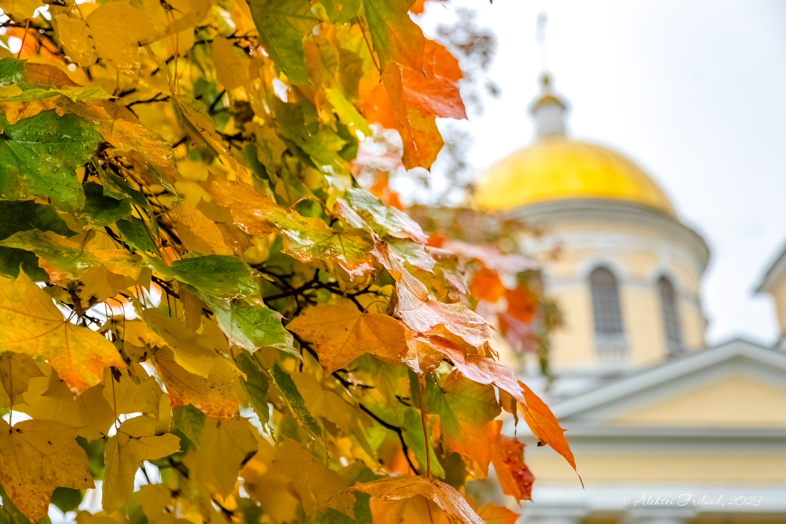Город. Аэросъемка. Фото и Видео в Карелии. Алексей Фрилунд