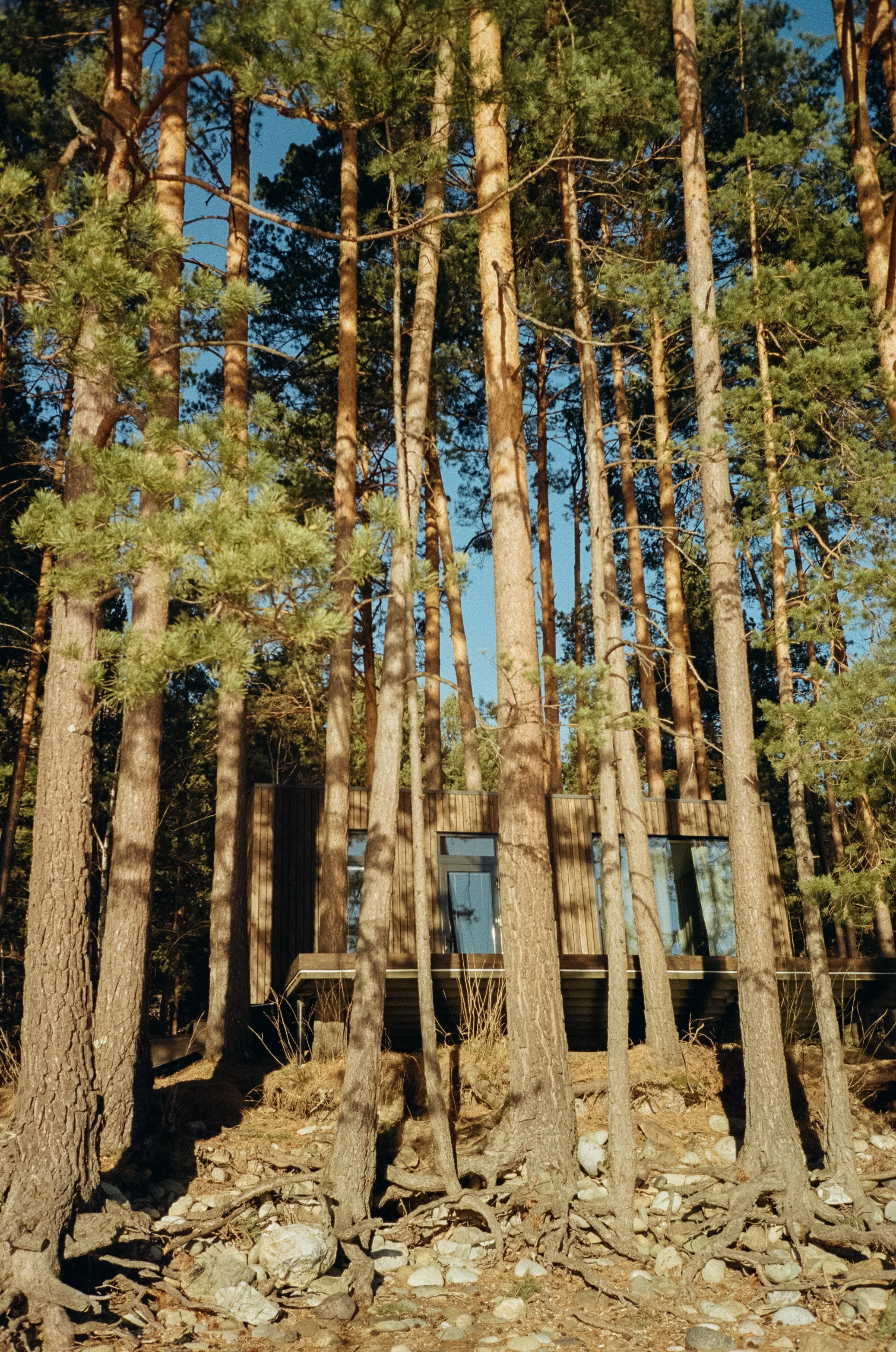 Зима и лето, Катунь и солнце, снег и лед. База Берель и дорога к Coffe. Фотограф-документалист Мария Осокина