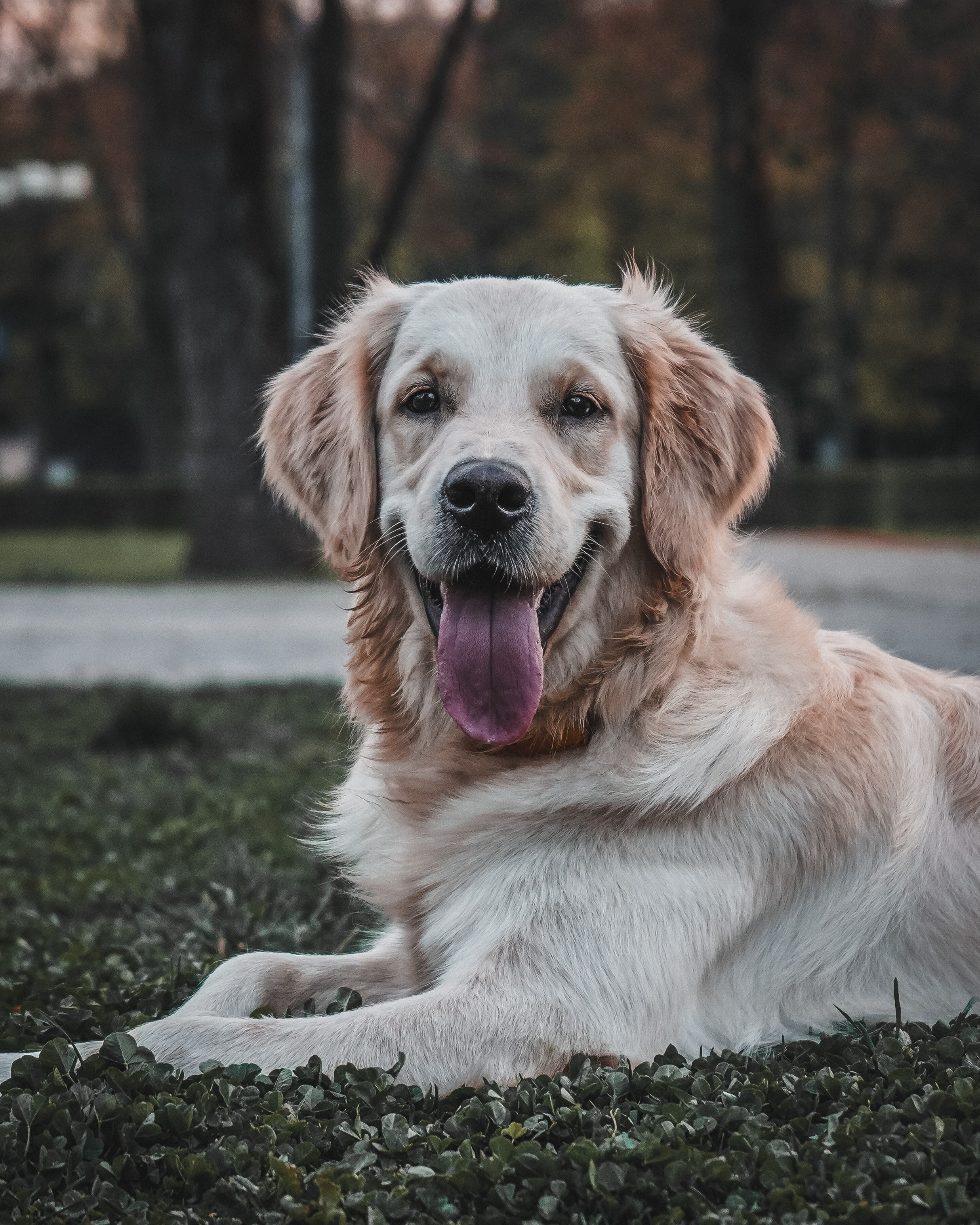 Животные. Репортажный фотограф в Краснодаре Рындин Дмитрий