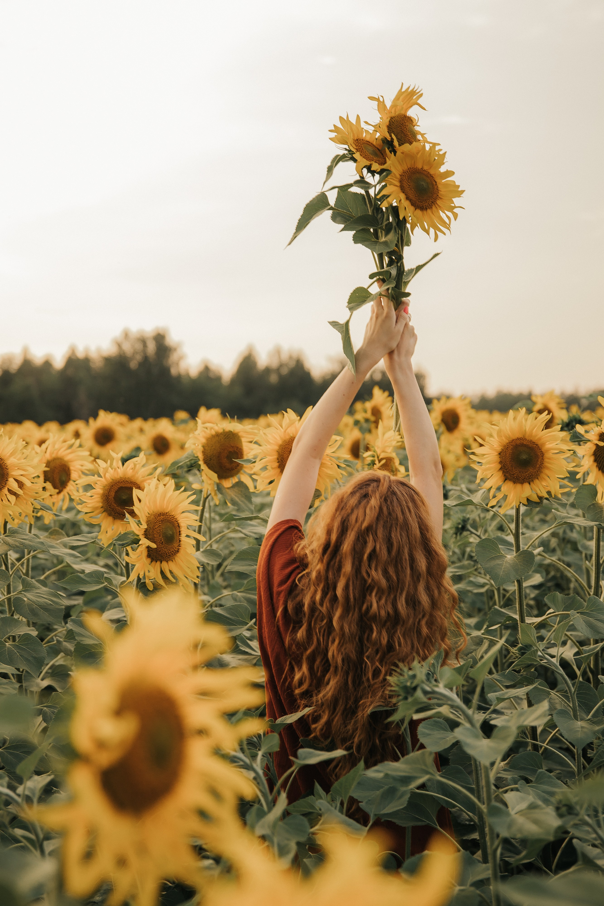 Лена и подсолнухи. Семейный и свадебный фотограф в Челябинске Юлия Софьина
