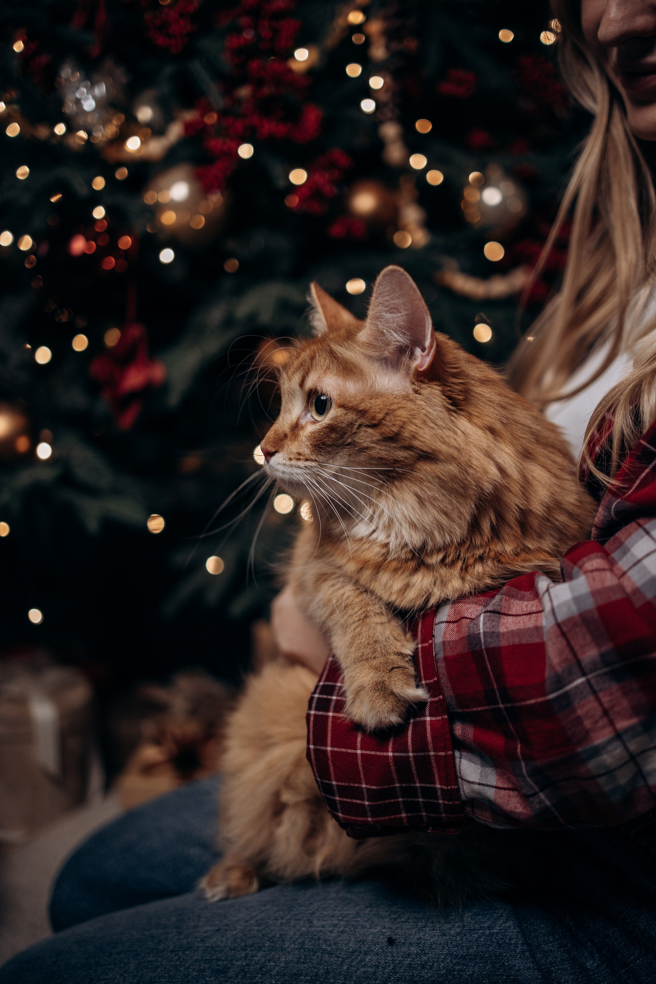 Эля и Франц. Фотограф — Анималист | Санкт-Петербург