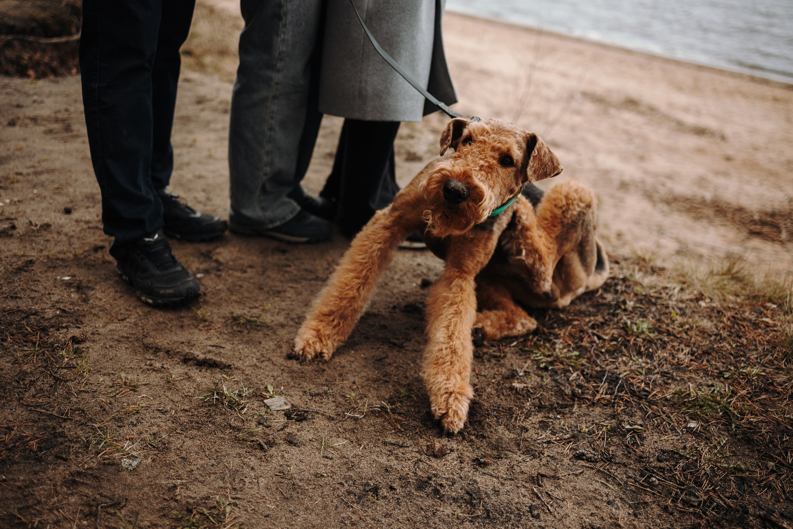 Вера и ее семья. Фотограф — Анималист | Санкт-Петербург
