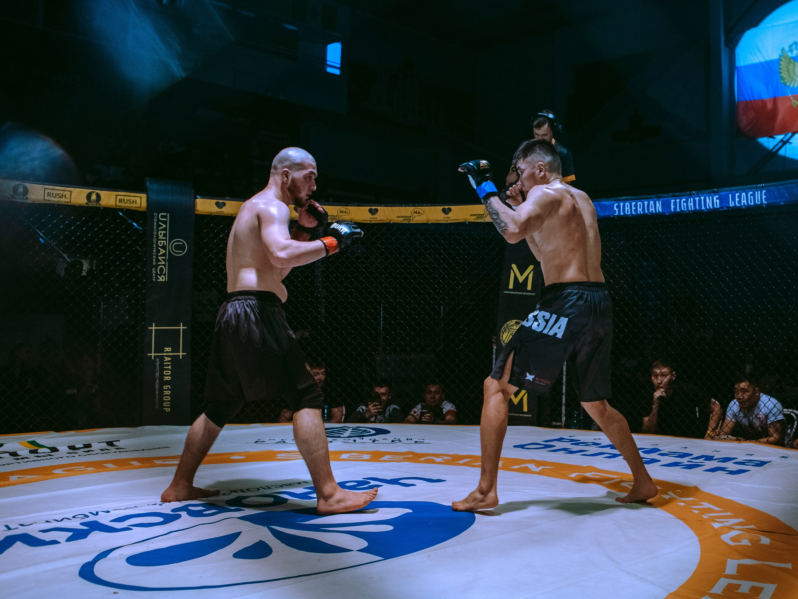 SFL 17 | Siberian Fighting League. Портретный фотограф в Москве Дарья Цезария