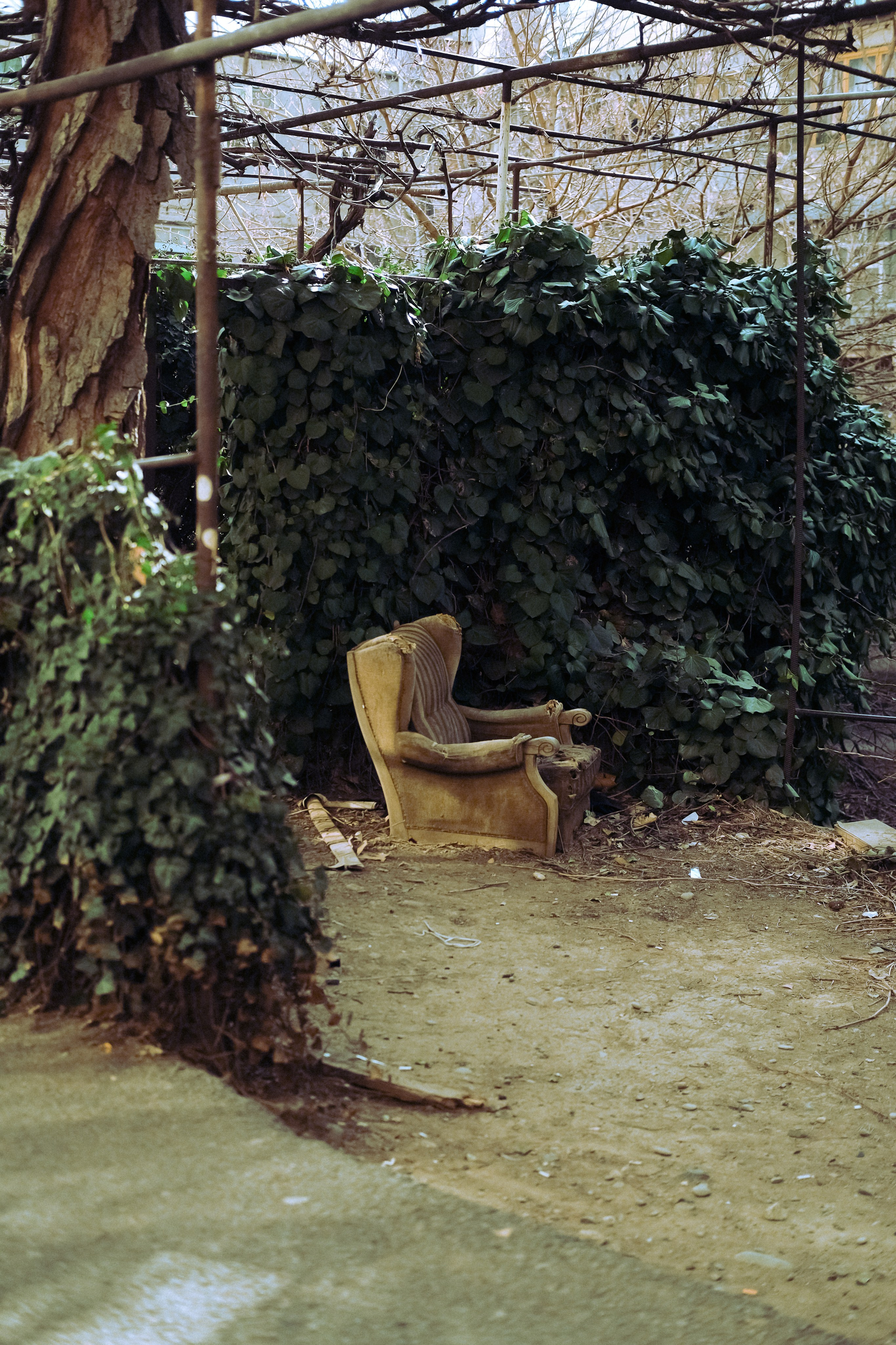 Городская и домашняя съемка в Тбилиси/ Алина и Гриша/ Или фотоблог из спального района. Photographer Tbilisi