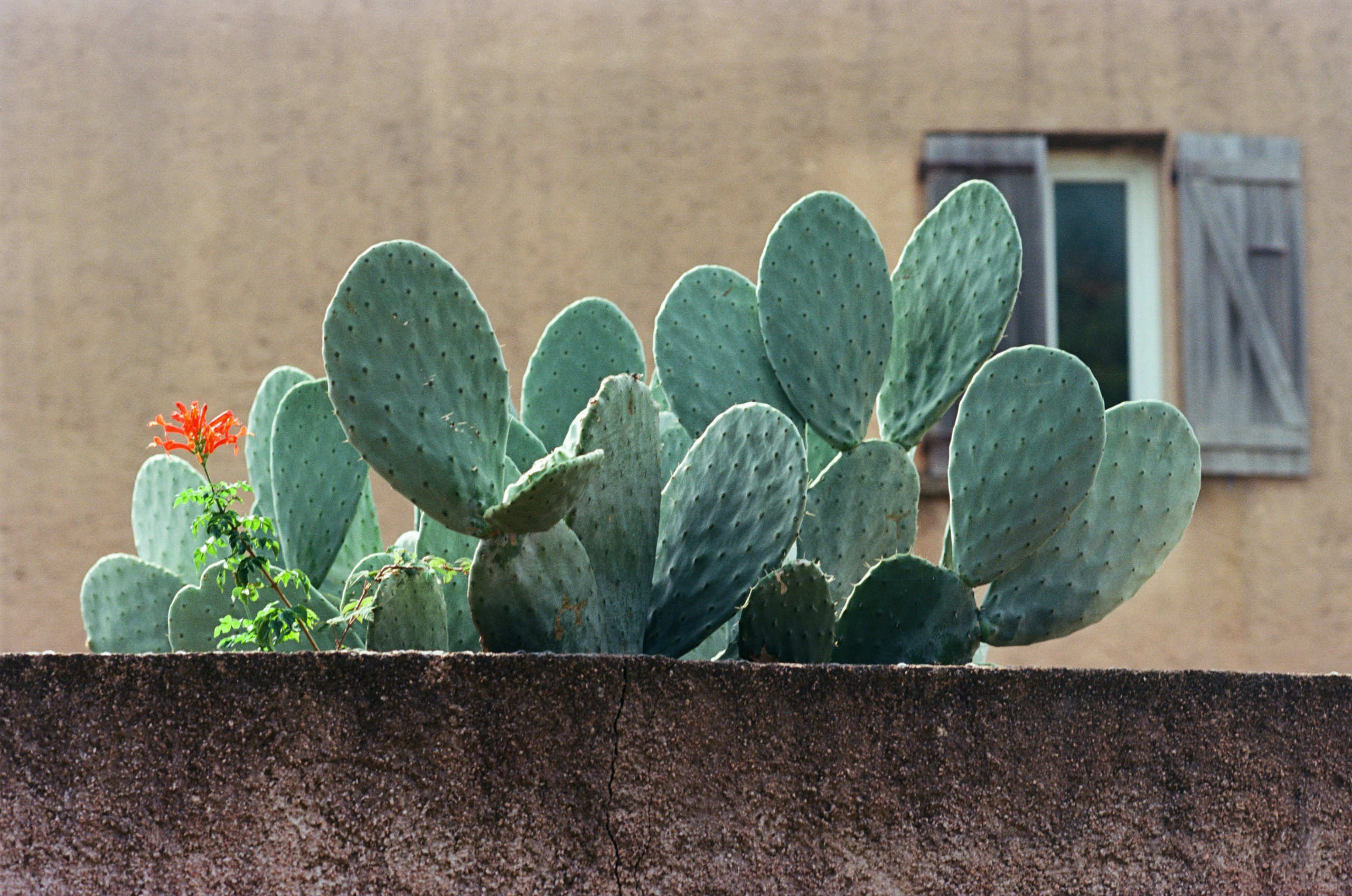 Silence is also an answer // corsica. EVER EXPOSED