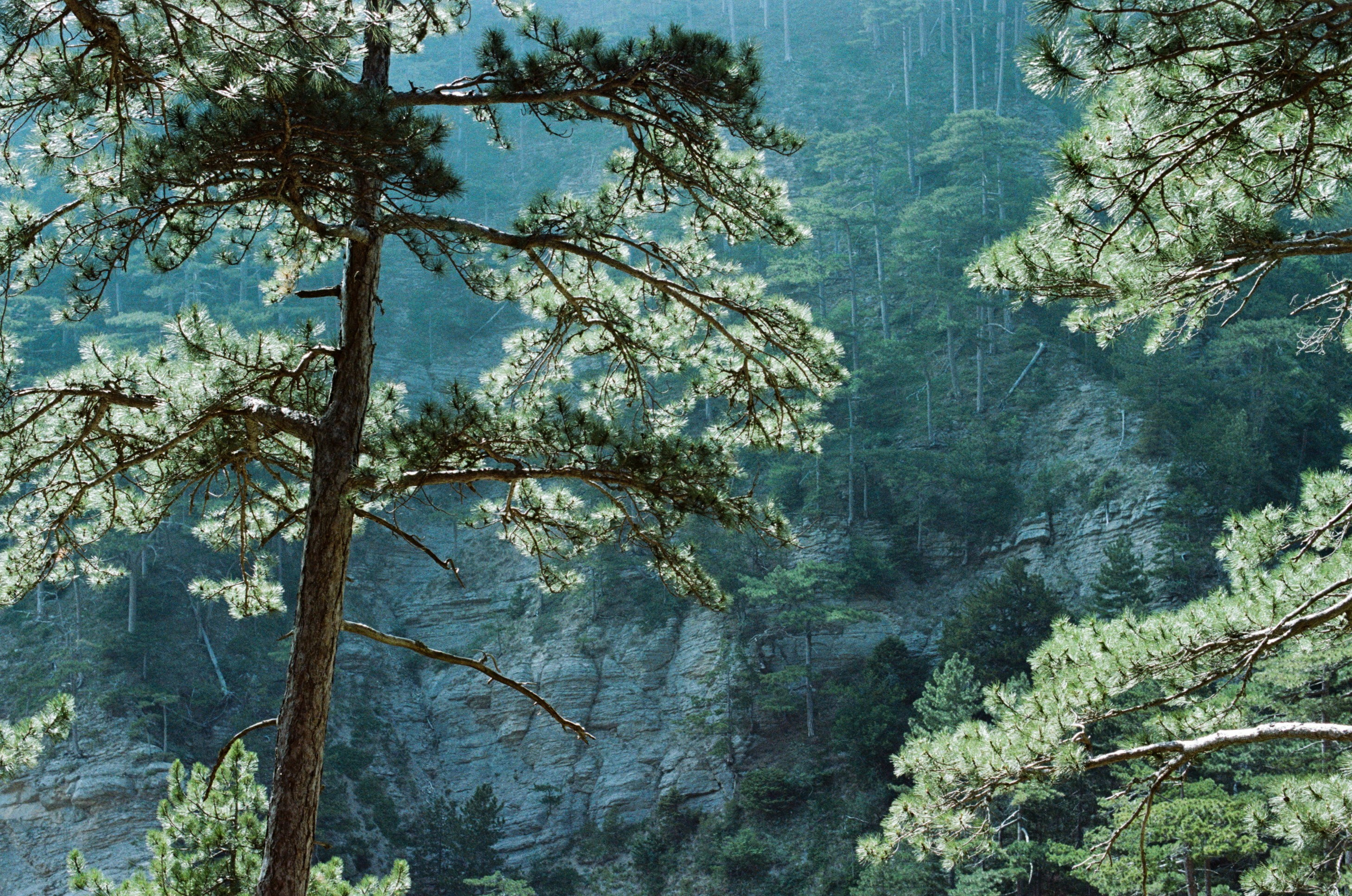 Kool-aid // ukraine, crimea II. EVER EXPOSED