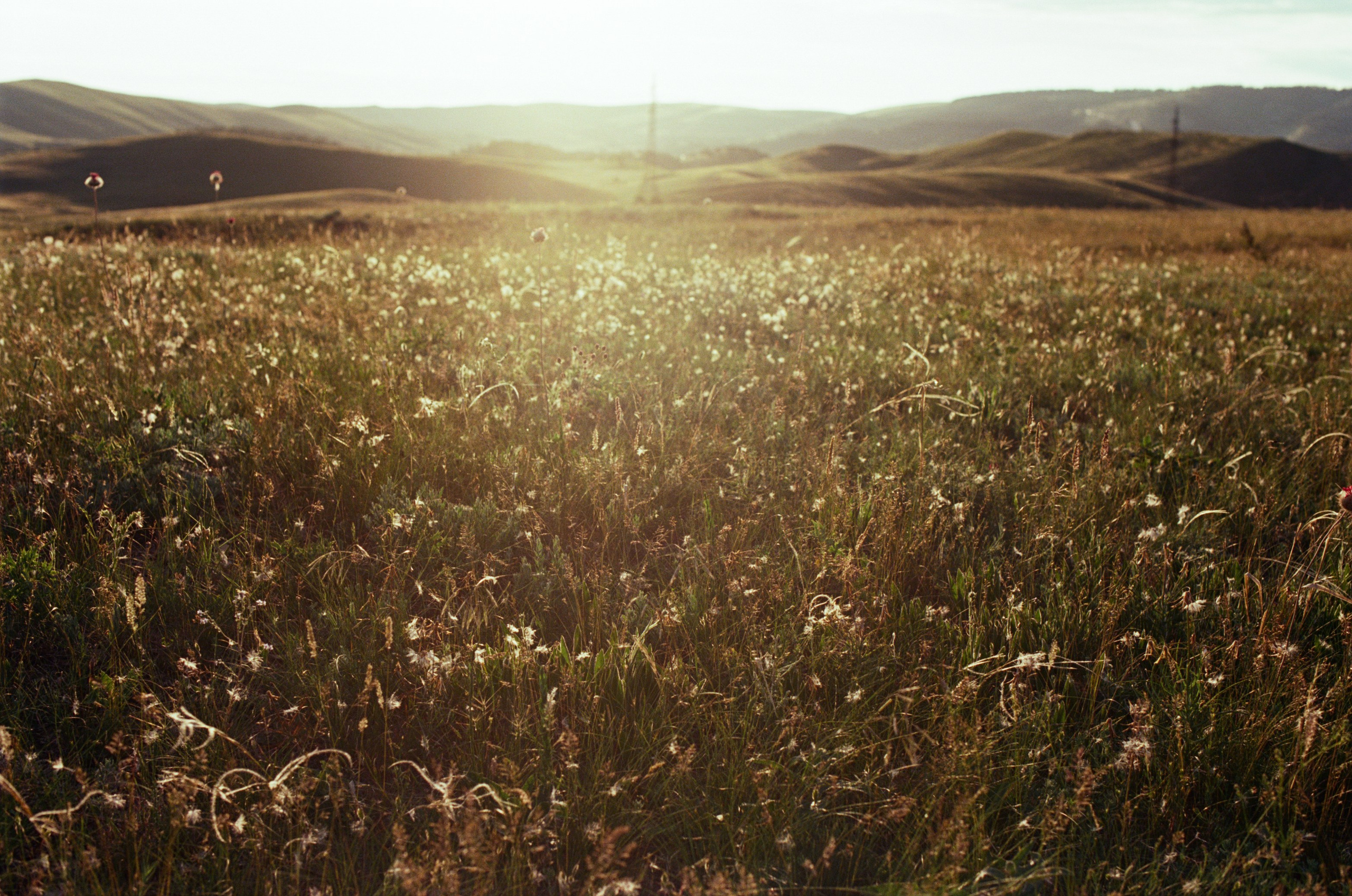 The drugs don't work // ukraine, crimea III. EVER EXPOSED
