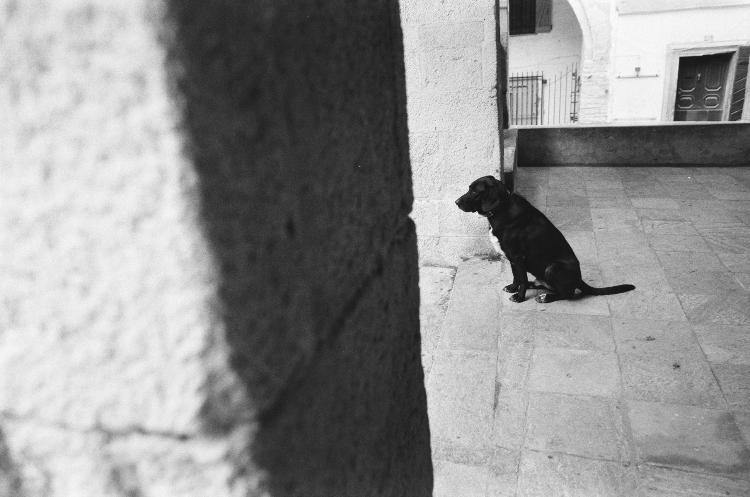 The world is flat // corsica, bonifacio. EVER EXPOSED