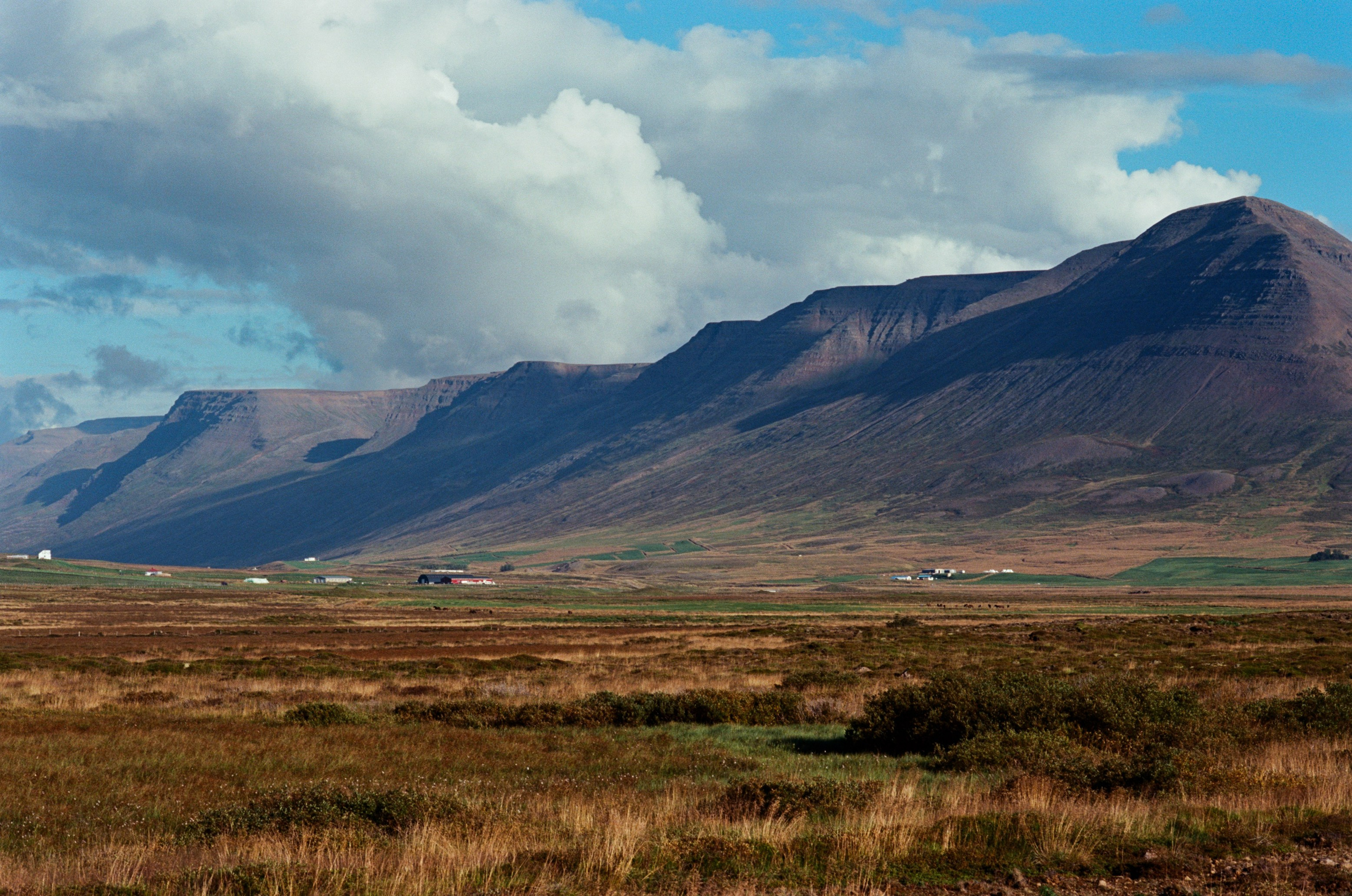 Bloodline // iceland, 76. EVER EXPOSED