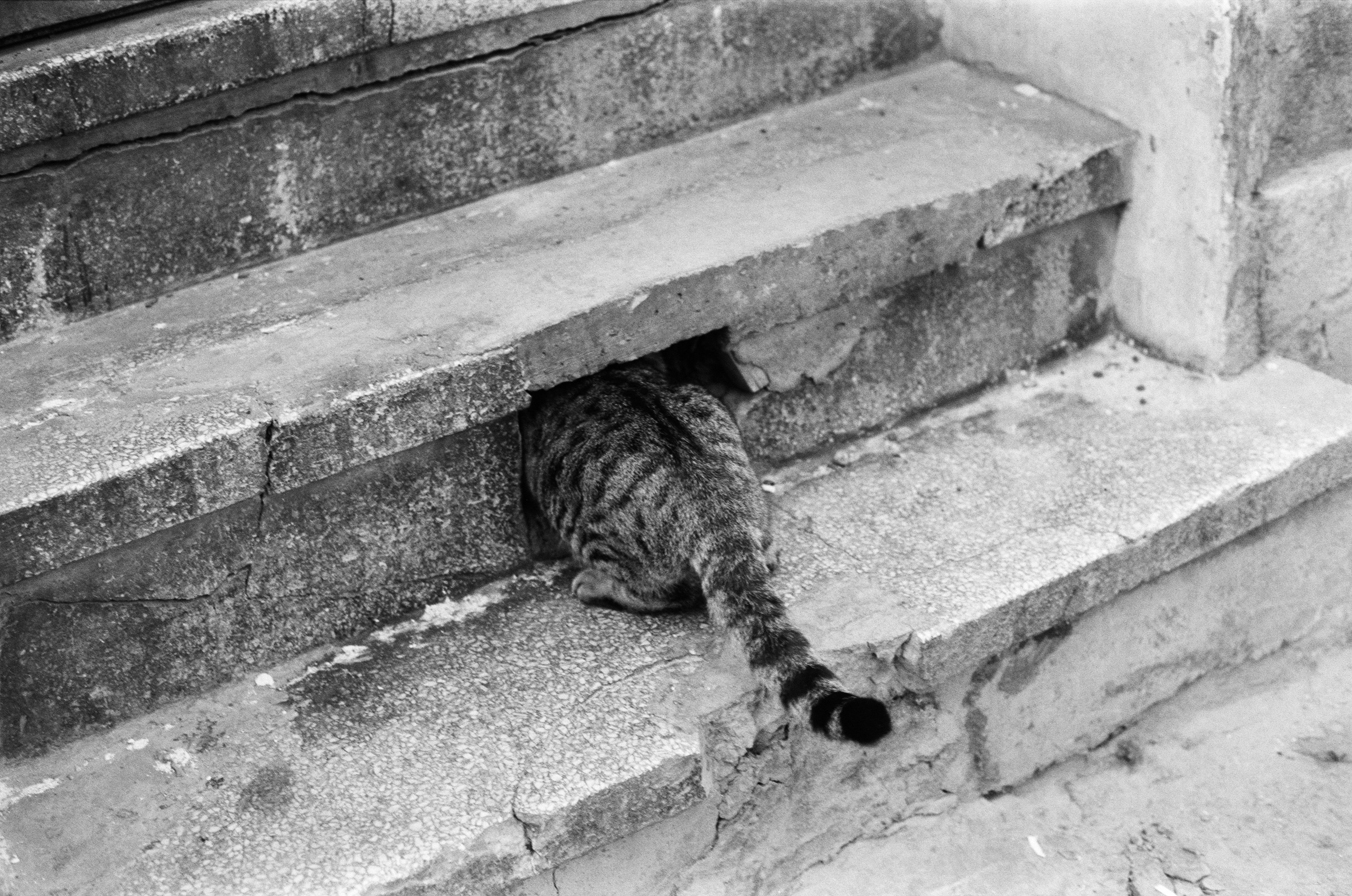 Complicated // turkey, istanbul IV. EVER EXPOSED