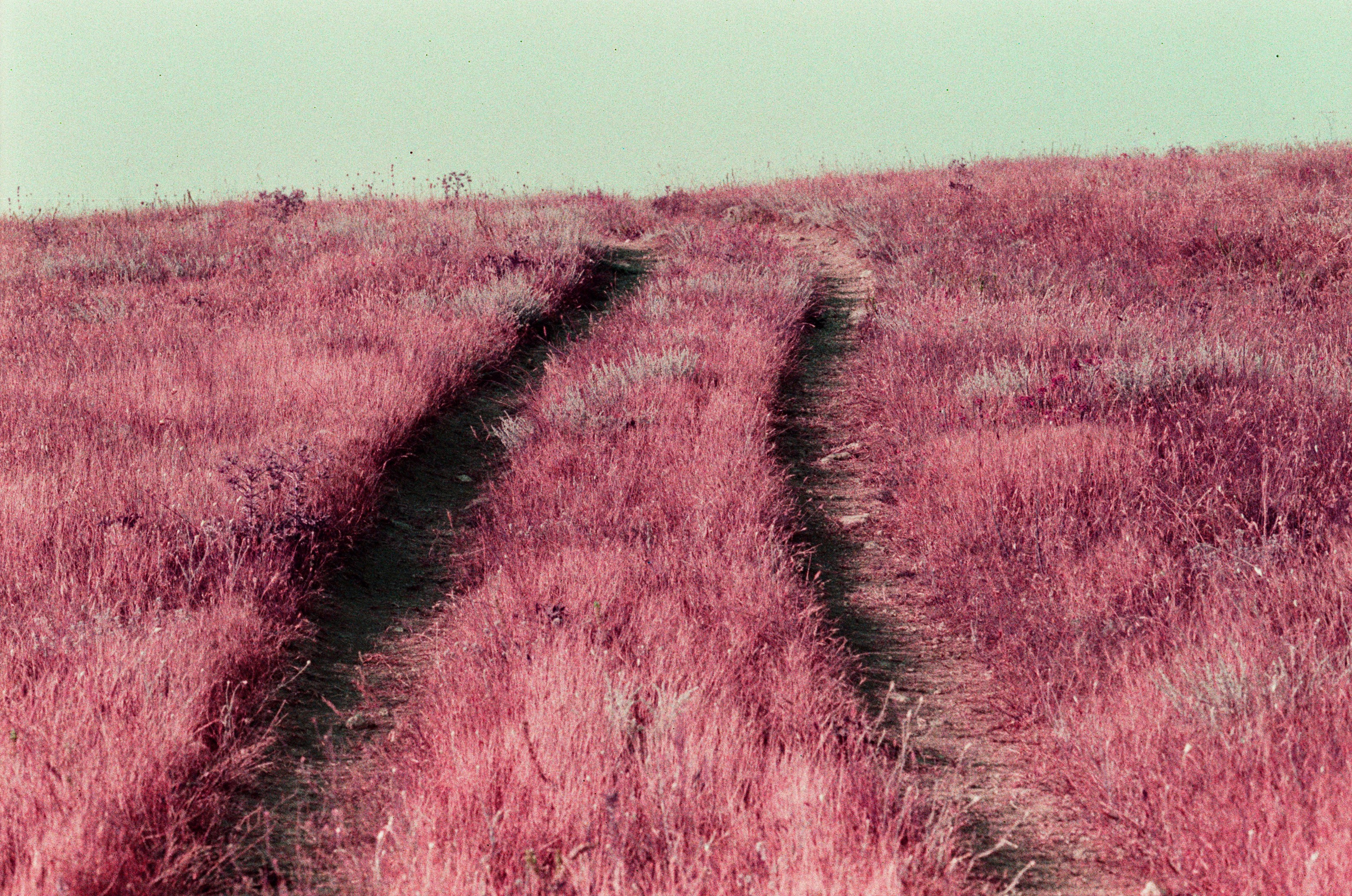 Dig it // ukraine, crimea VI. EVER EXPOSED