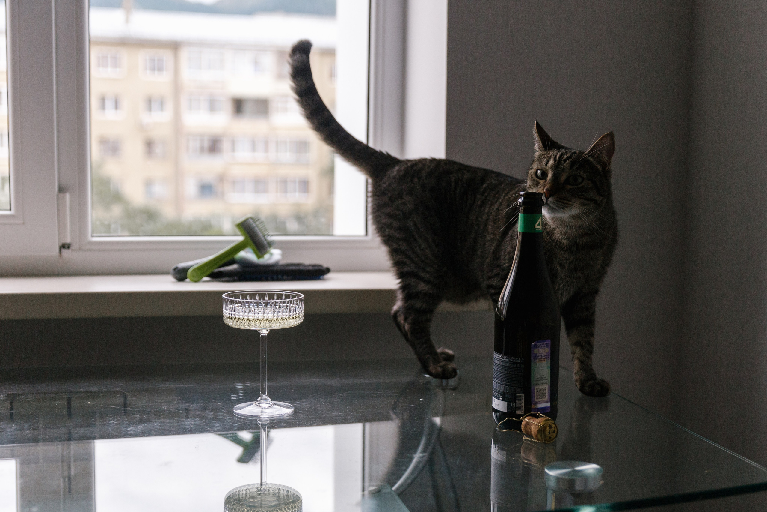 Михаил и Алина. Свадебный фотограф в Пятигорске и КМВ Софья Аджикеримова