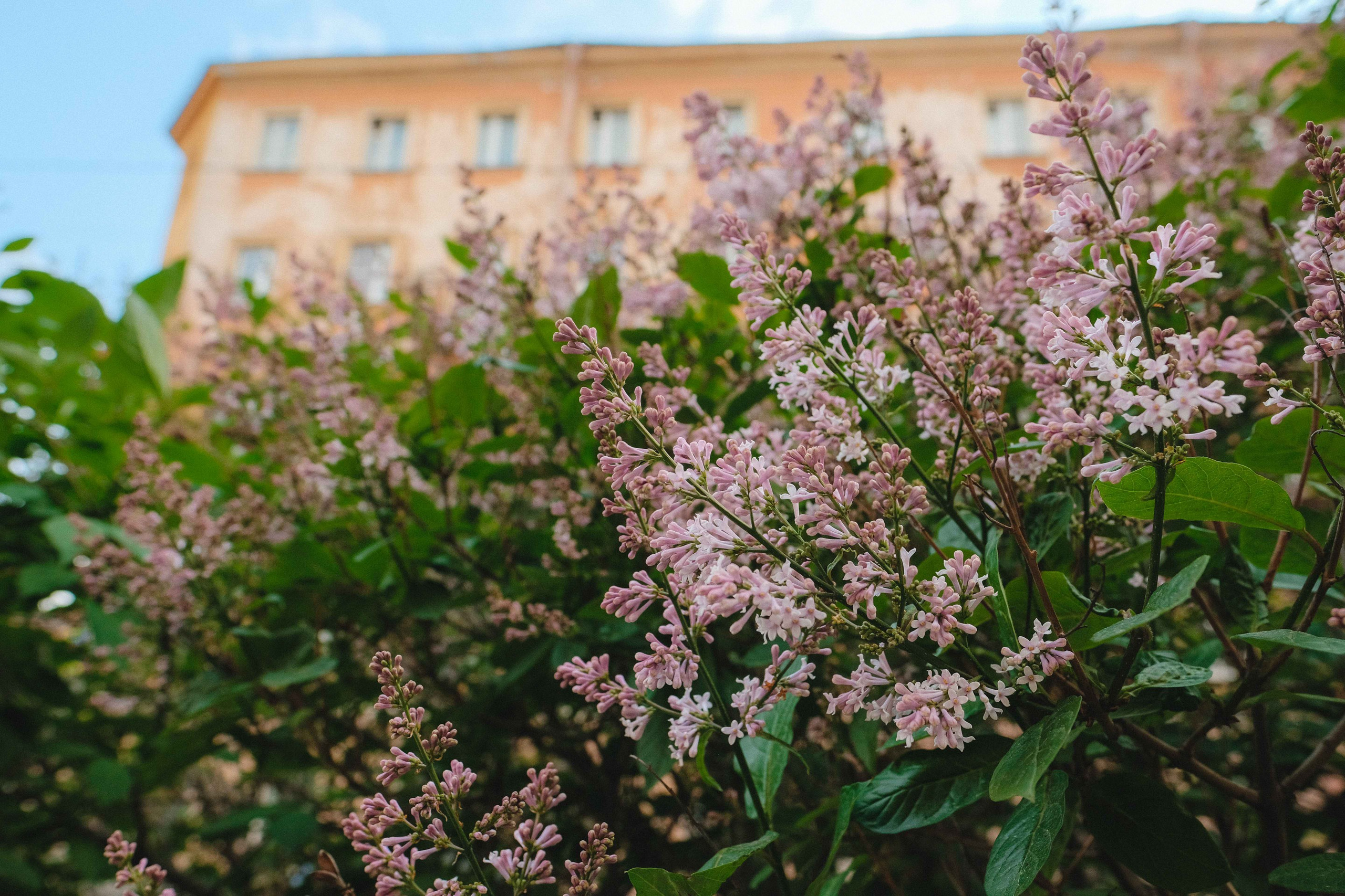 2023.06. Фотограф Алексей Алексеев