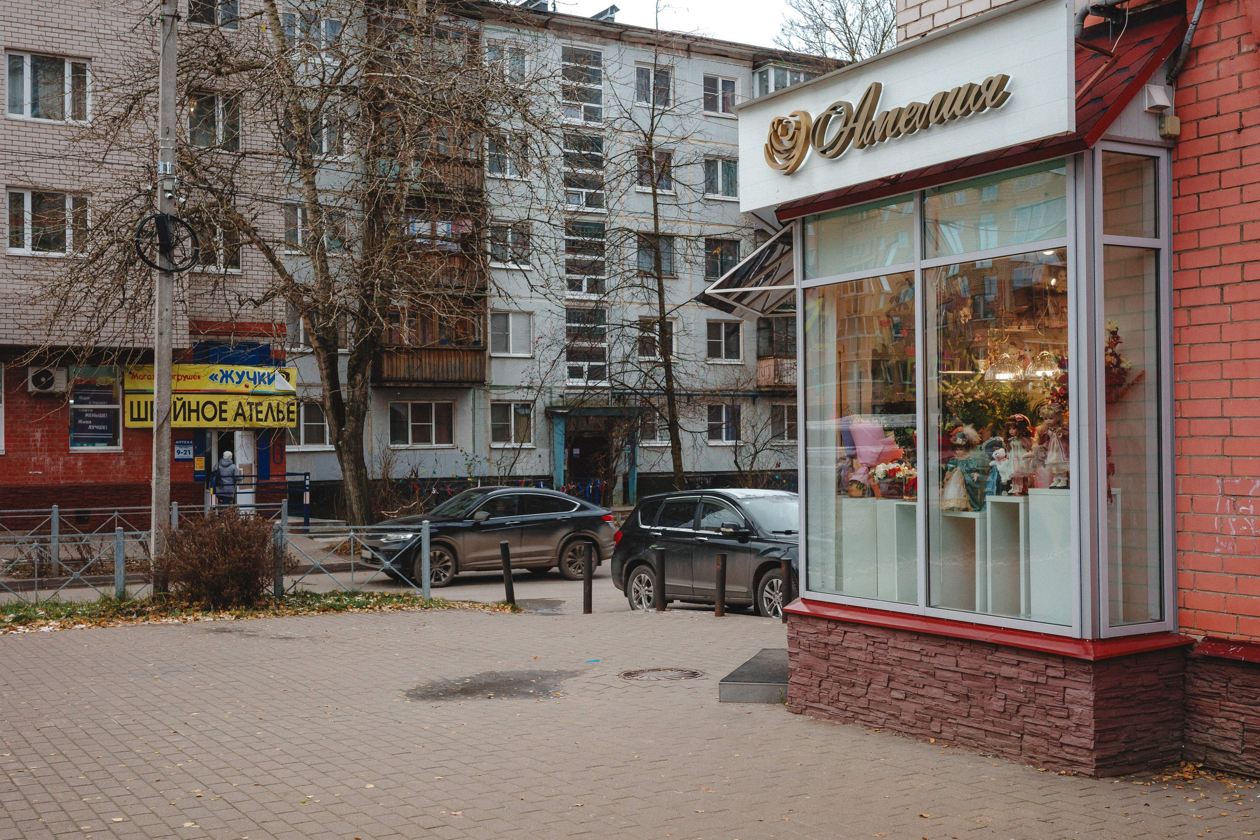 2023.11. Фотограф Алексей Алексеев