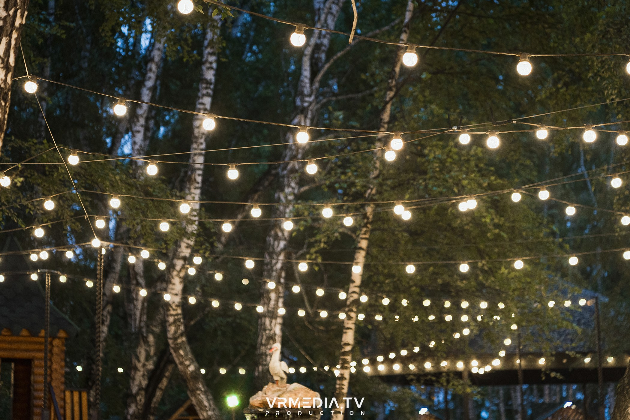 В гостях у «Петровича»