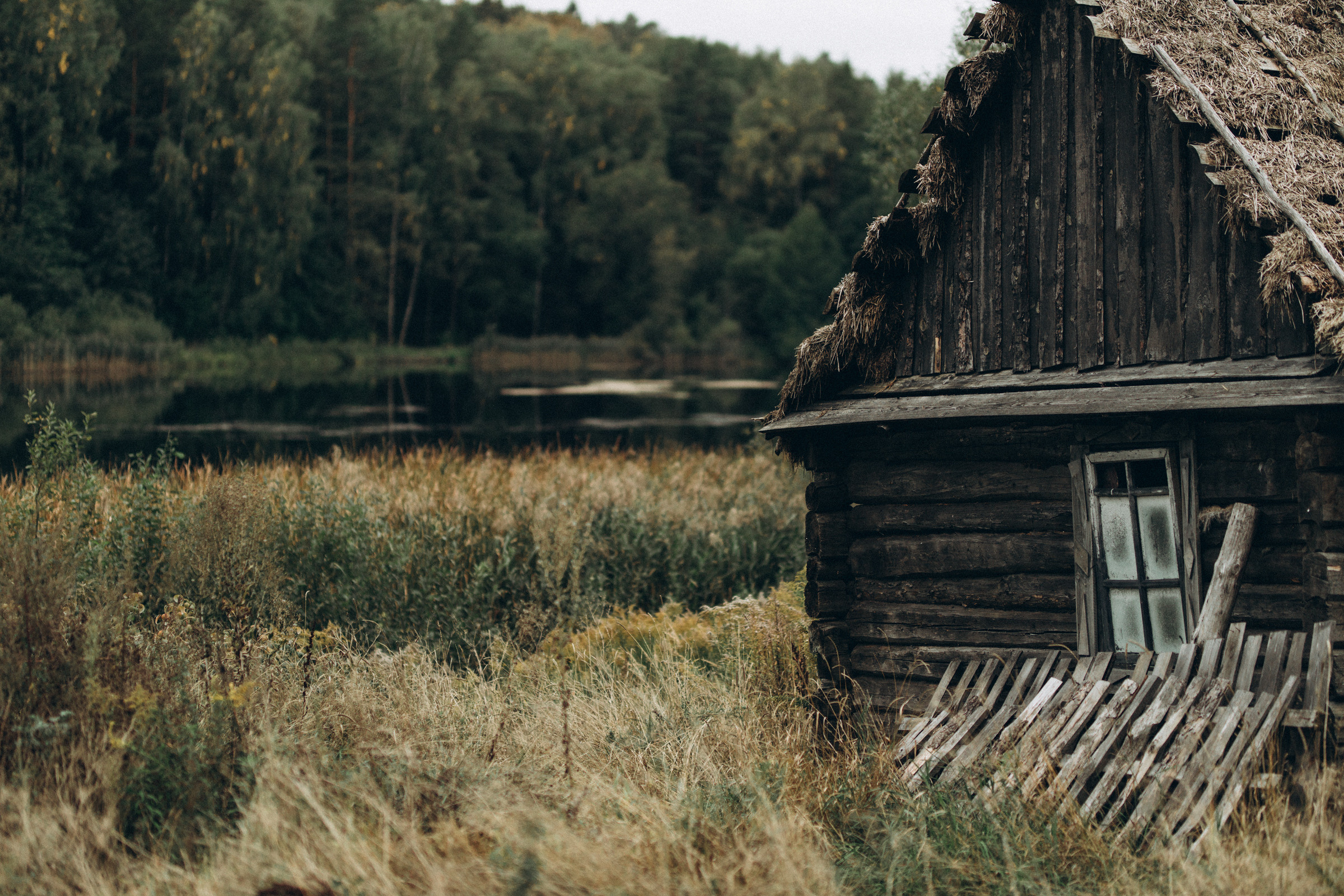 Как лебеди. Свадебный фотограф Минск