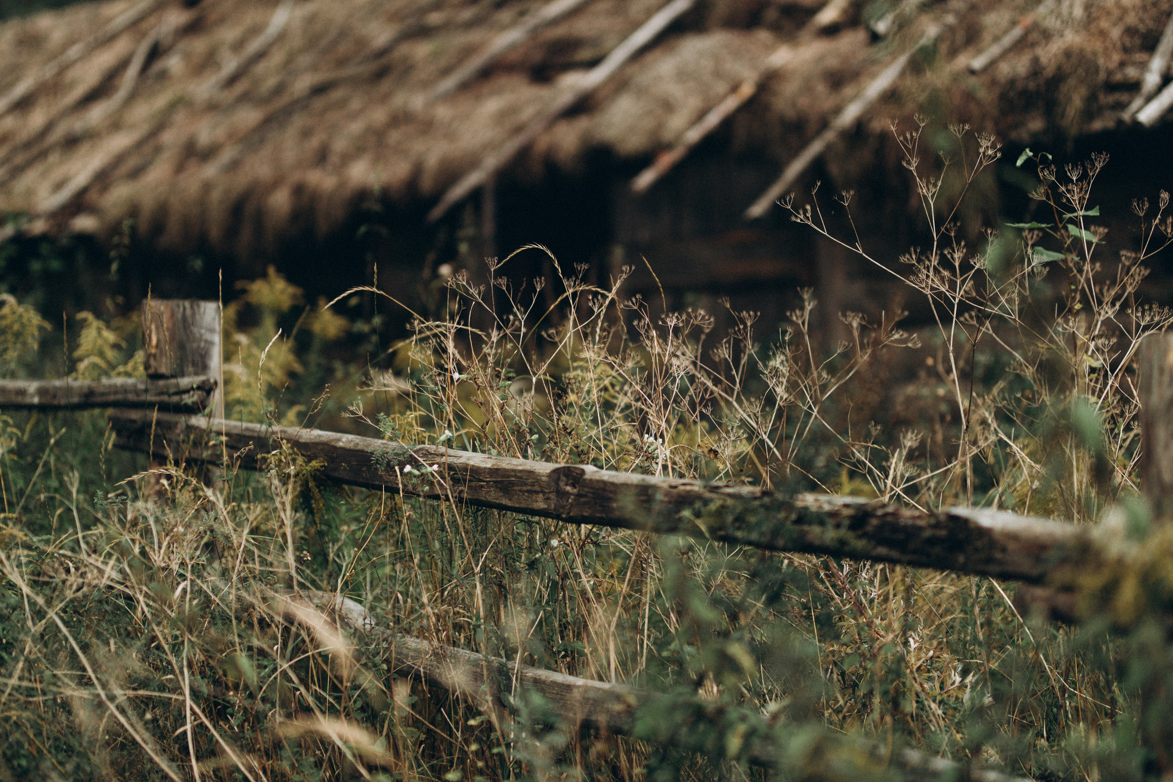 Как лебеди. Свадебный фотограф Минск