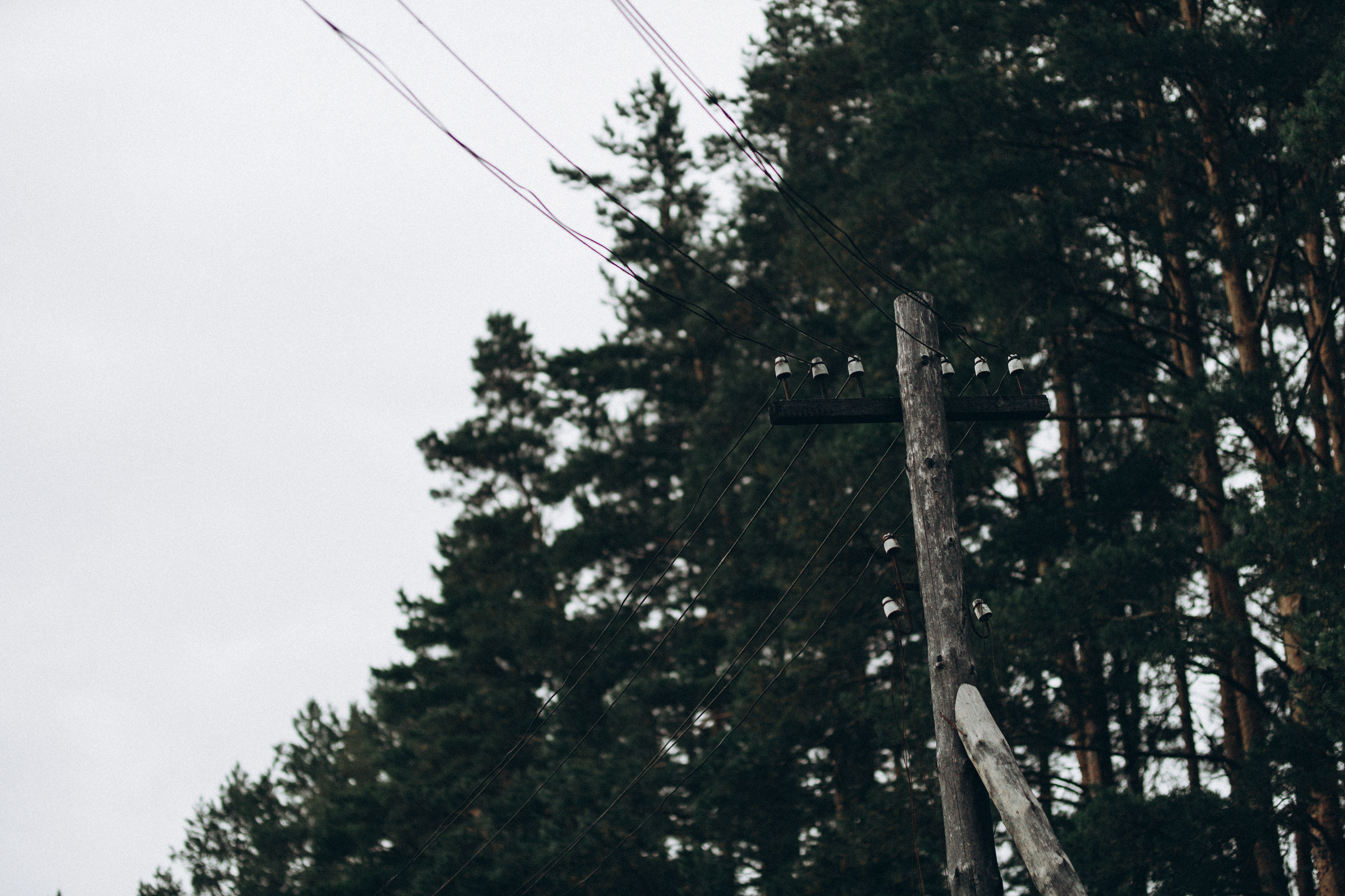 Как лебеди. Свадебный фотограф Минск