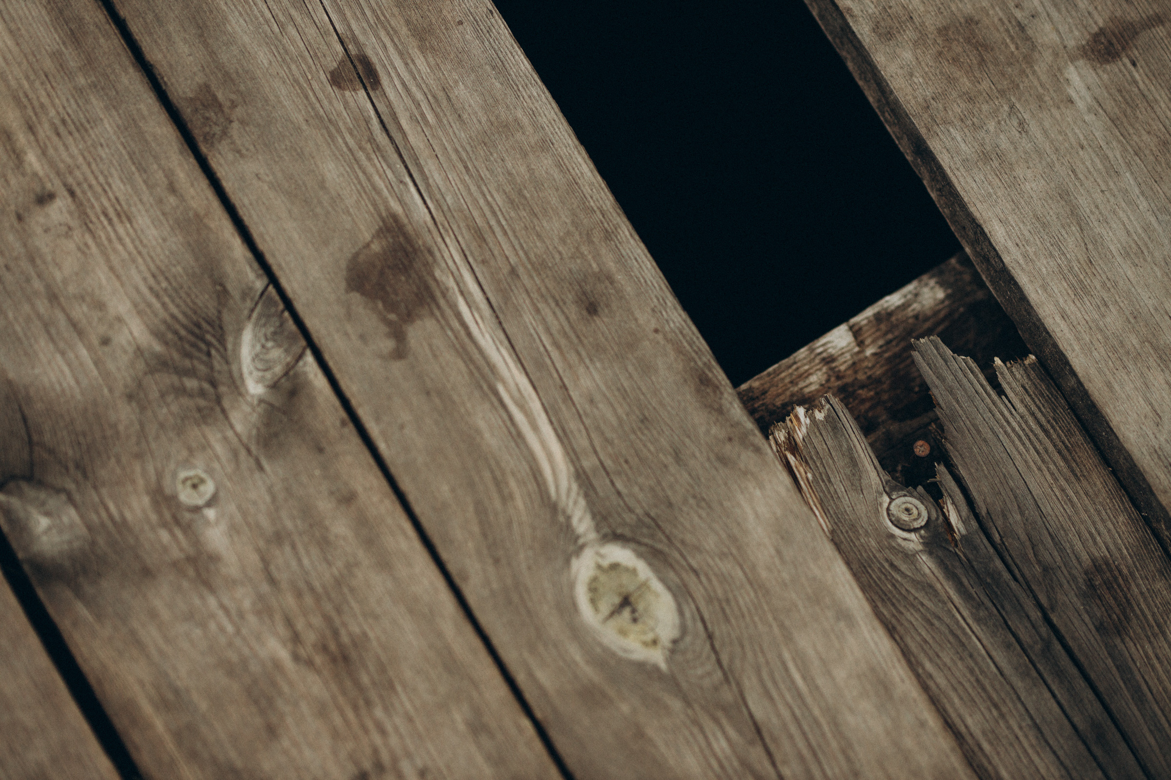 Как лебеди. Свадебный фотограф Минск